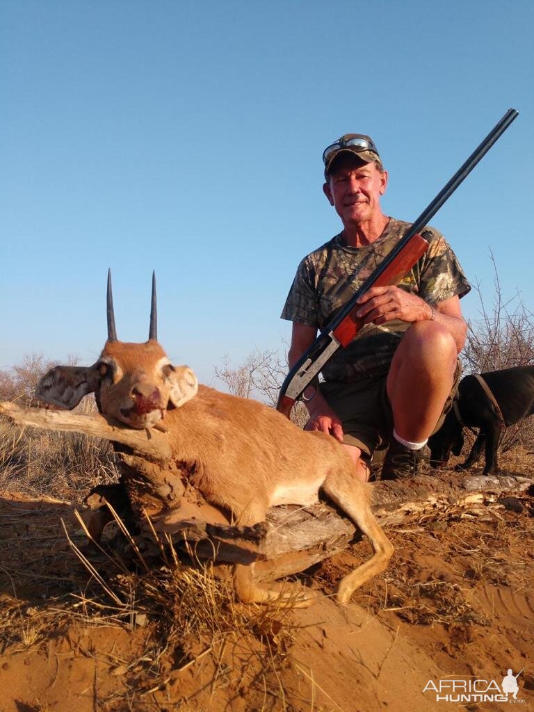 Hunt Steenbok in South Africa