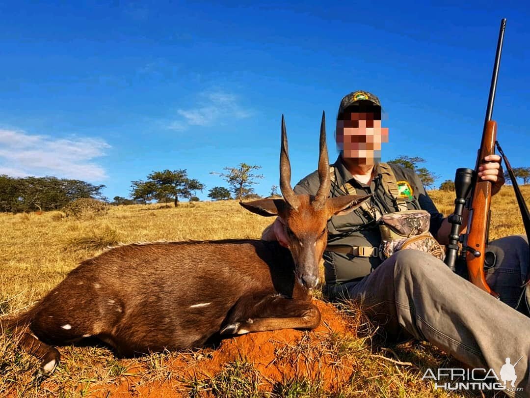 Hunt Steenbok South Africa