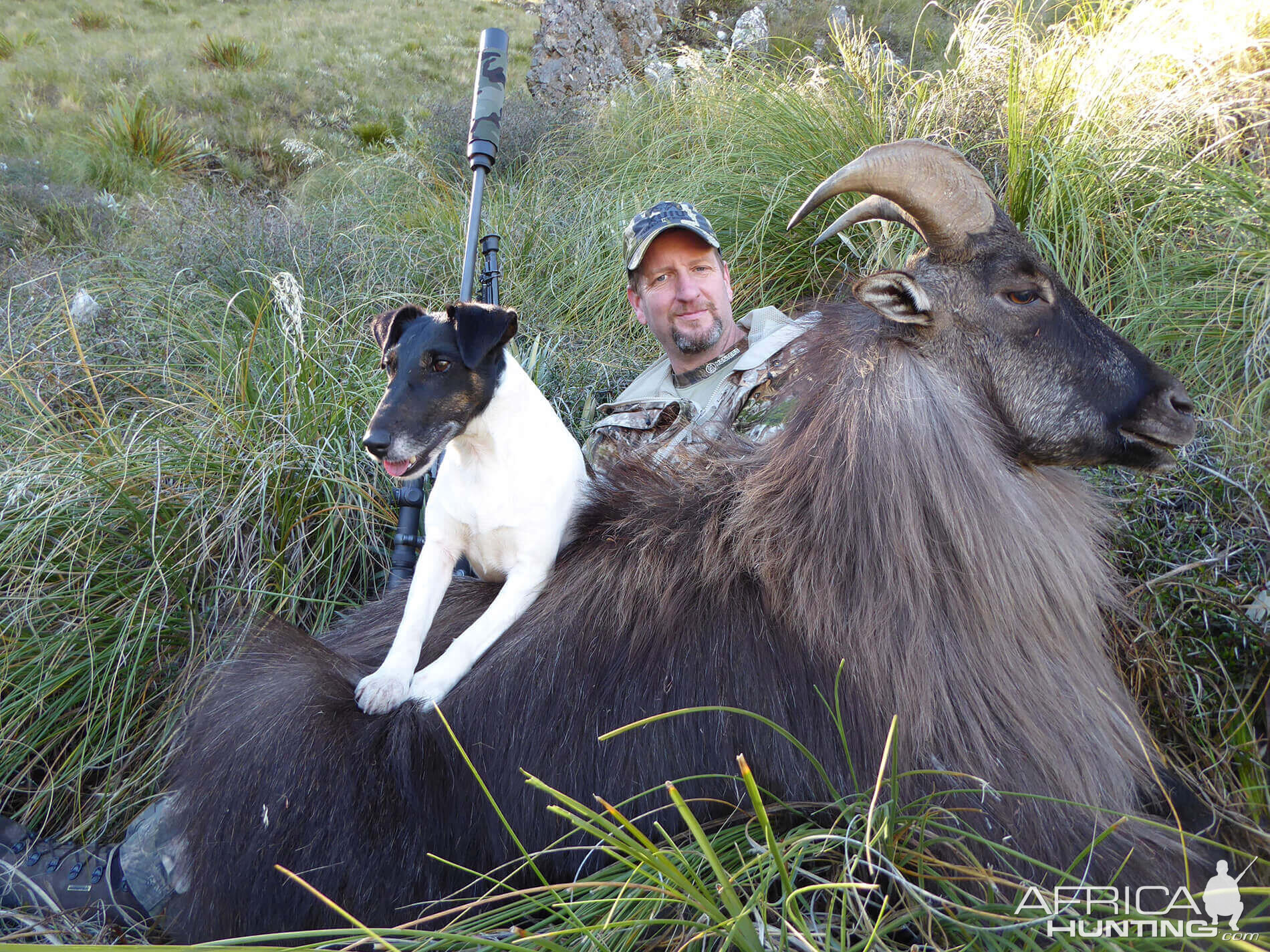 Hunt Tahr in New Zealand