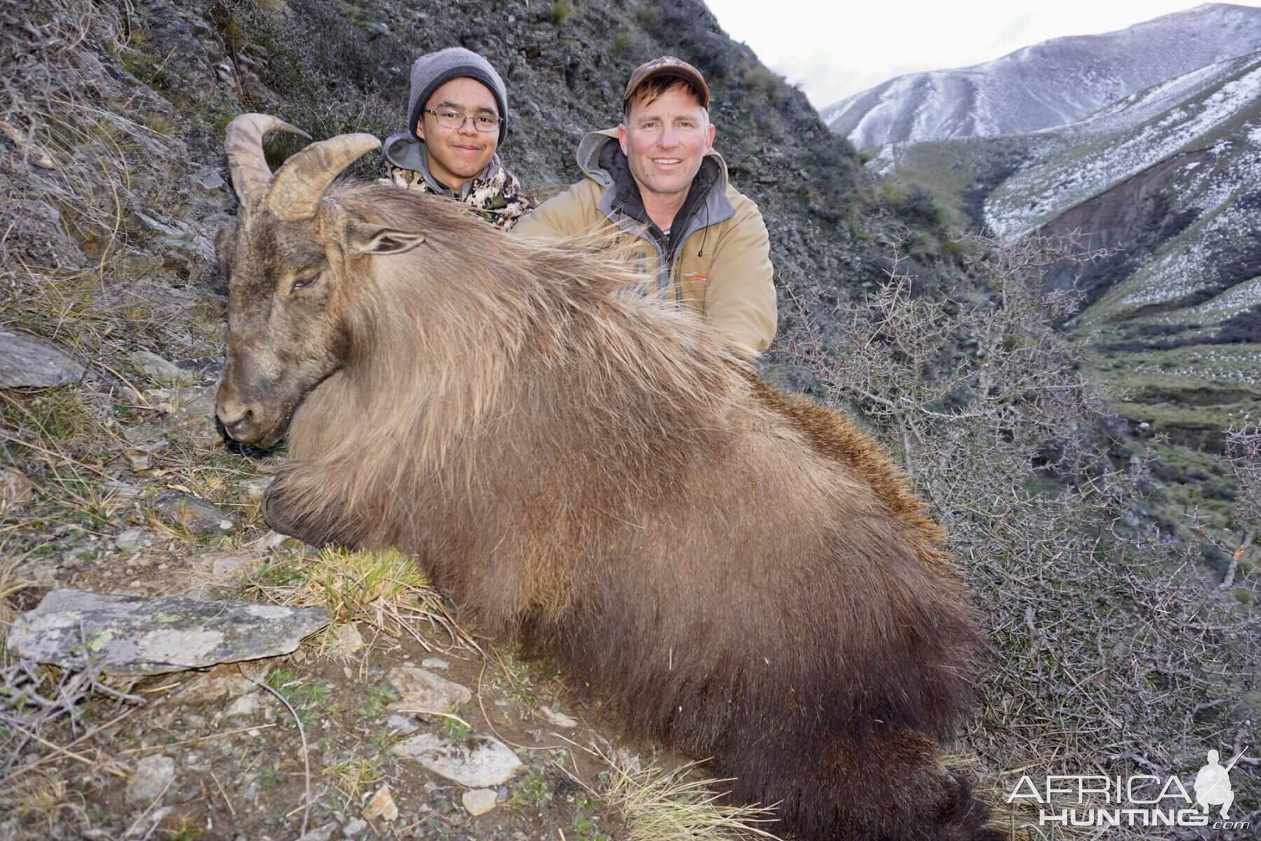 Hunt Tahr in New Zealand