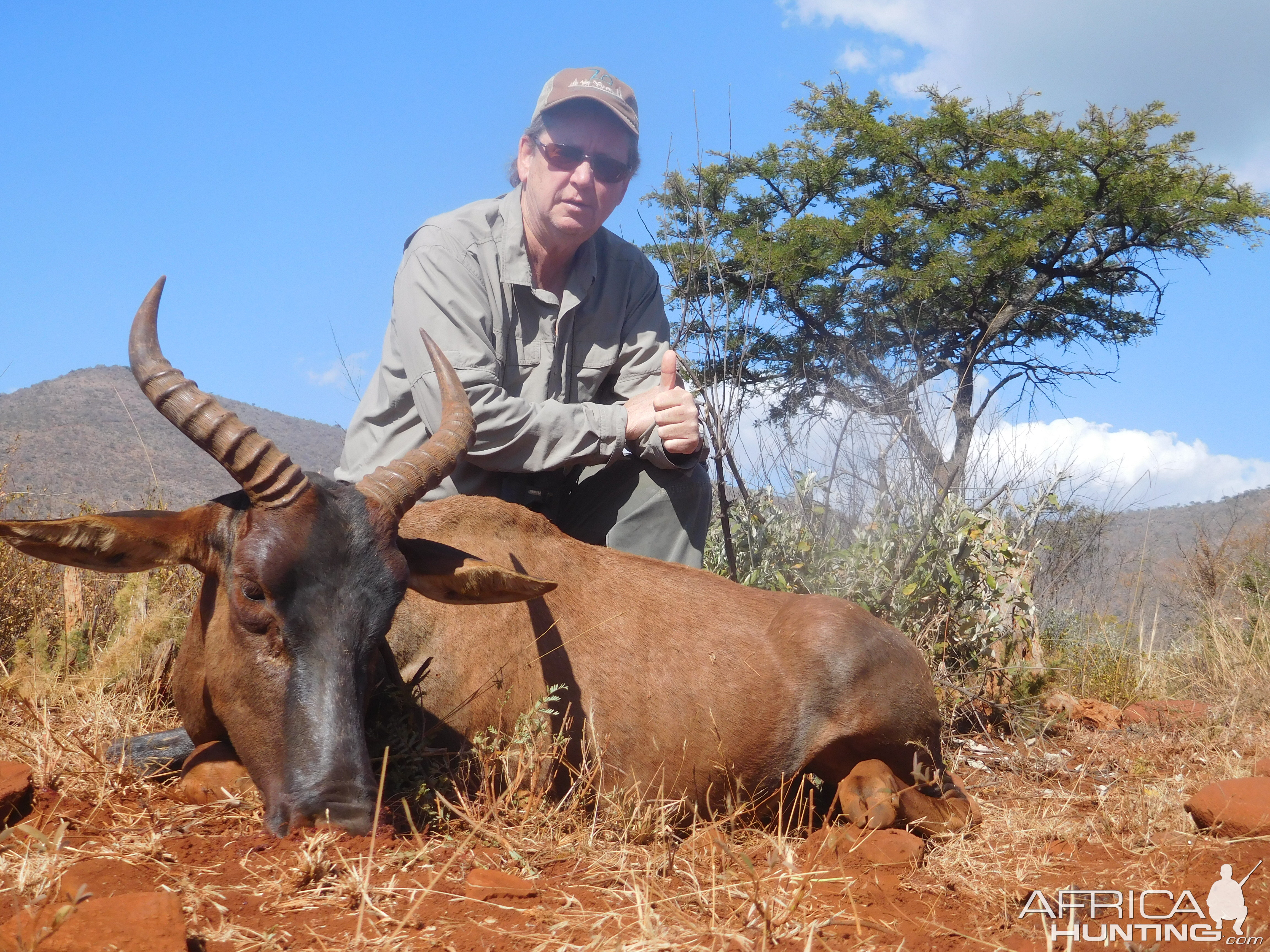 Hunt Tsessebe in South Africa