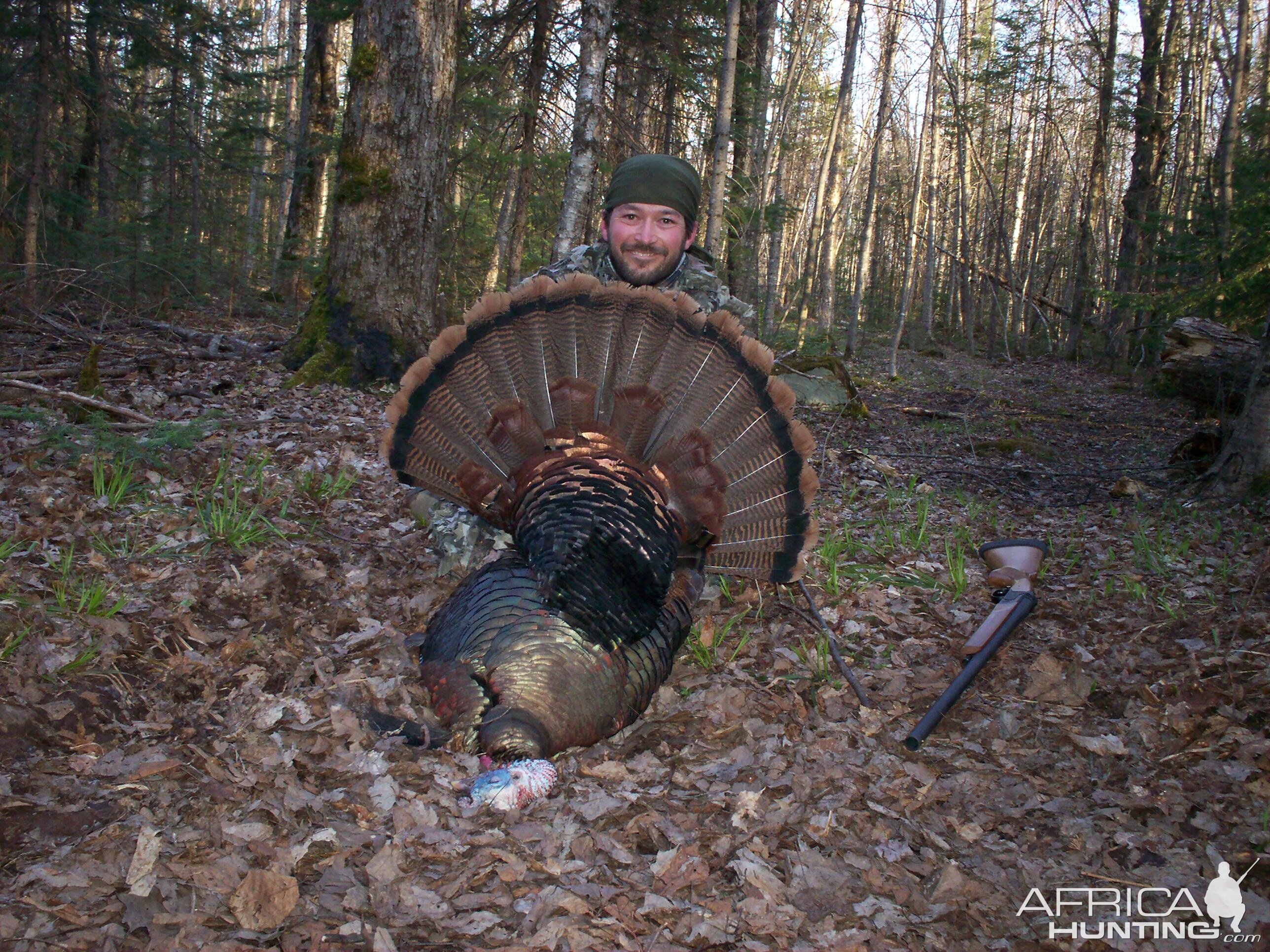 Hunt Turkey in USA