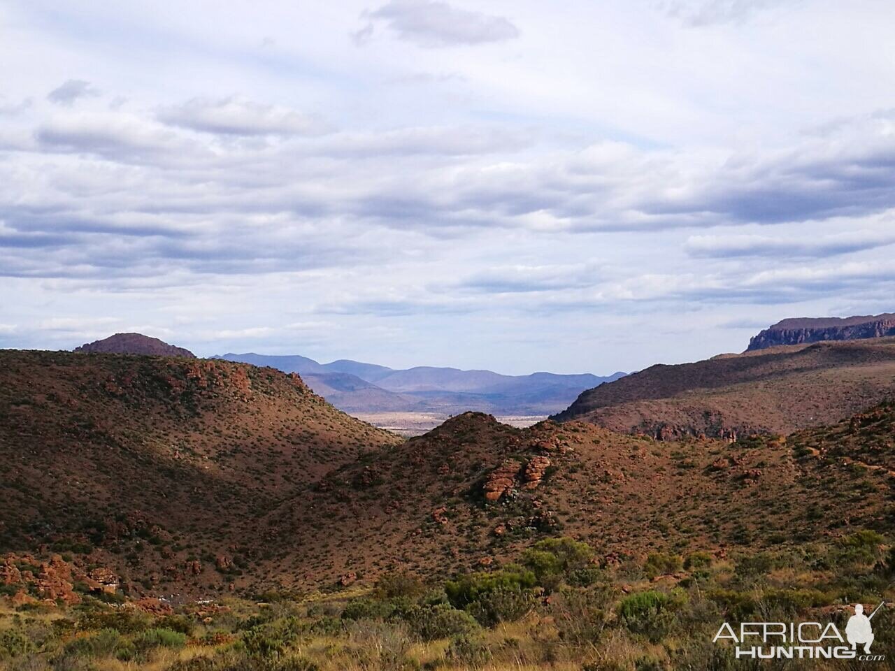 Hunt Vaal Rhebok & Klipspringer in South Africa