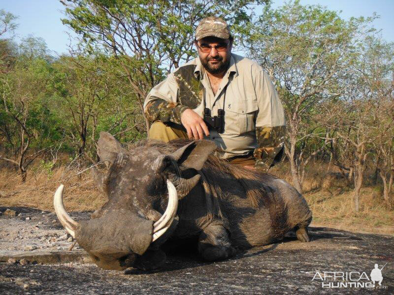 Hunt Warthog in Mozambique