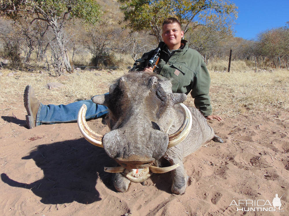 Hunt Warthog in Namibia