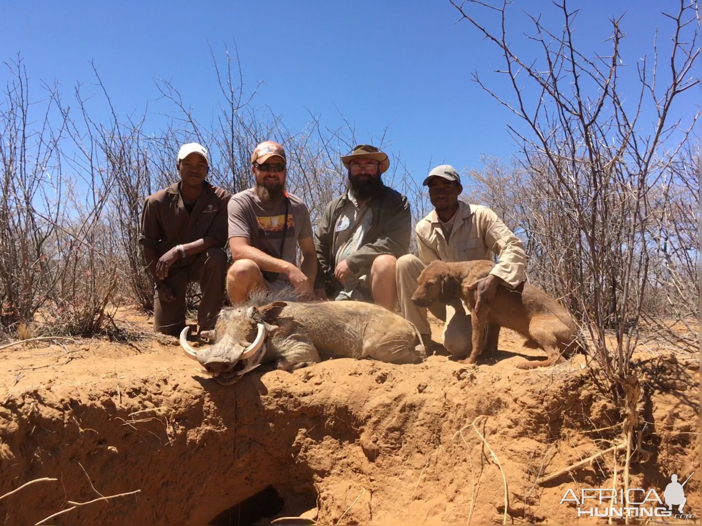 Hunt Warthog in Namibia