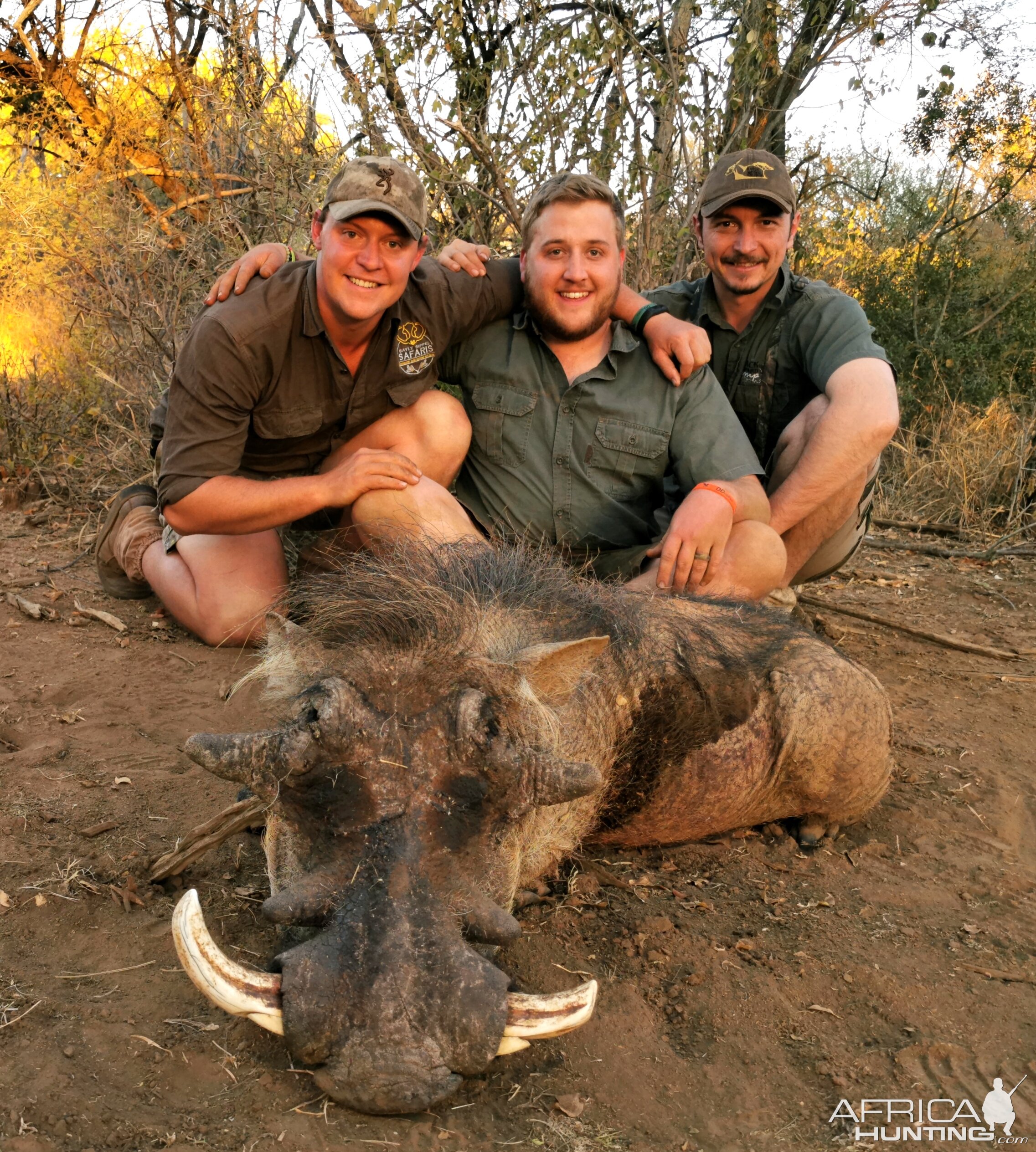 Hunt Warthog in South Africa