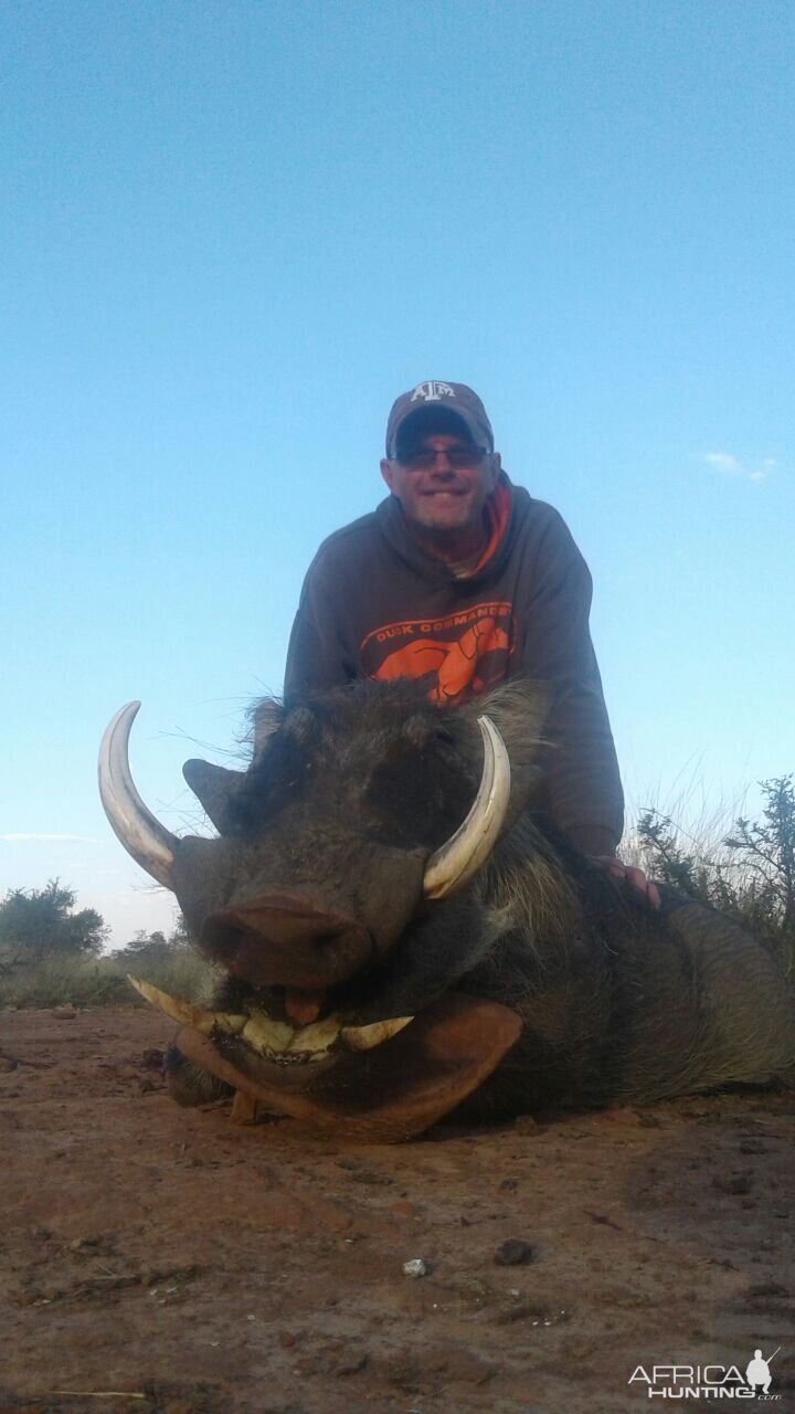 Hunt Warthog in South Africa