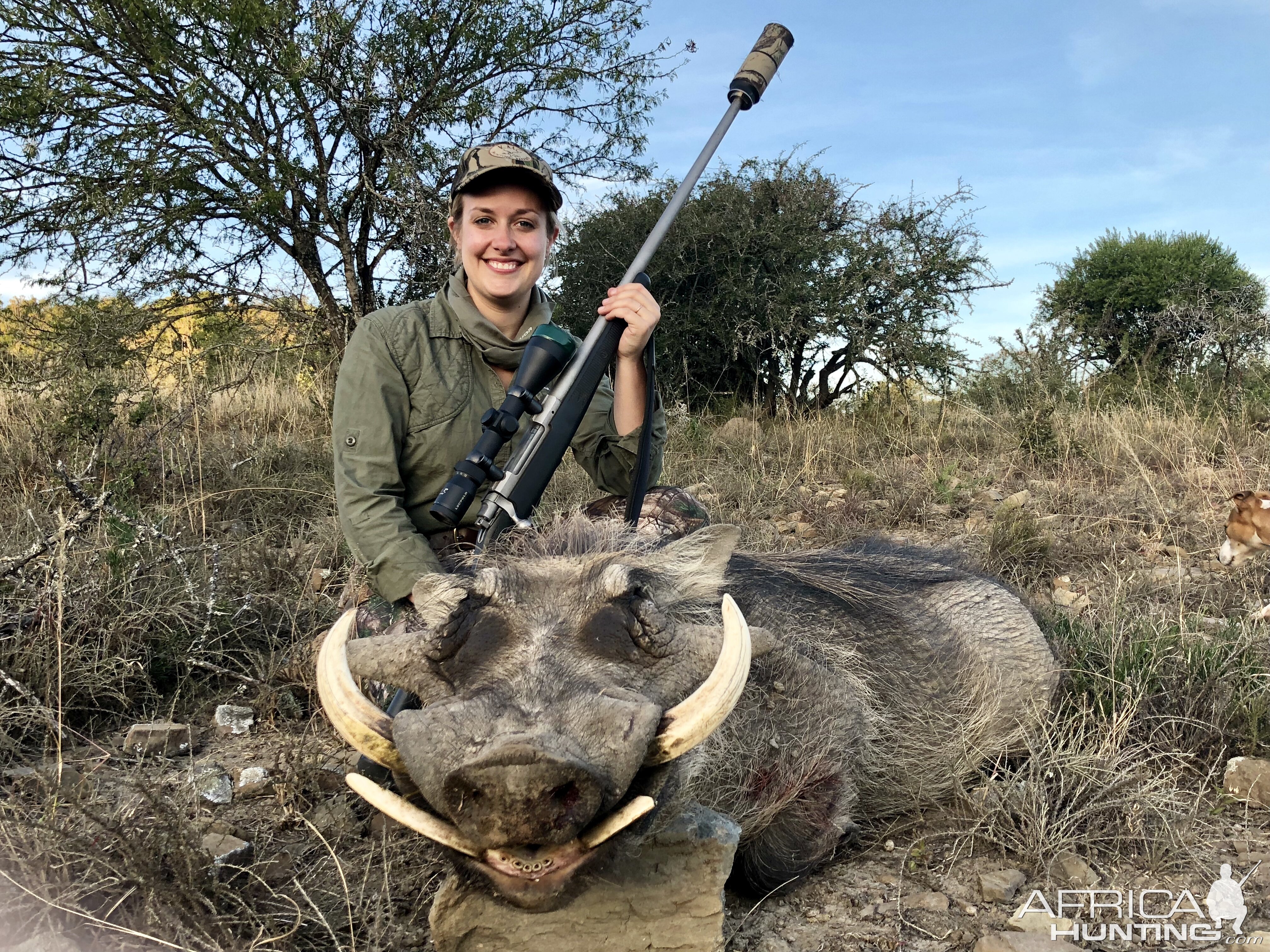 Hunt Warthog in South Africa