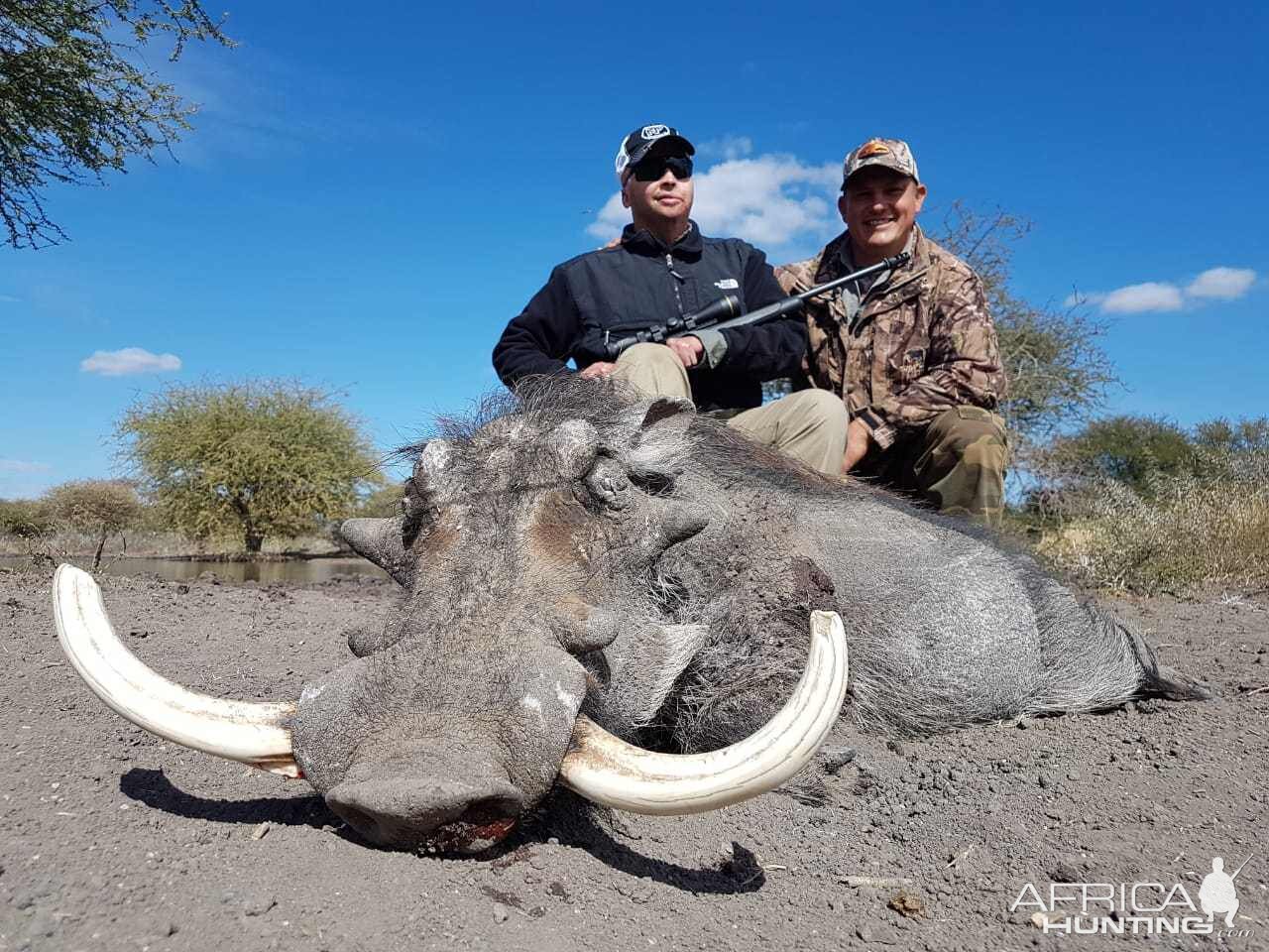 Hunt Warthog in South Africa