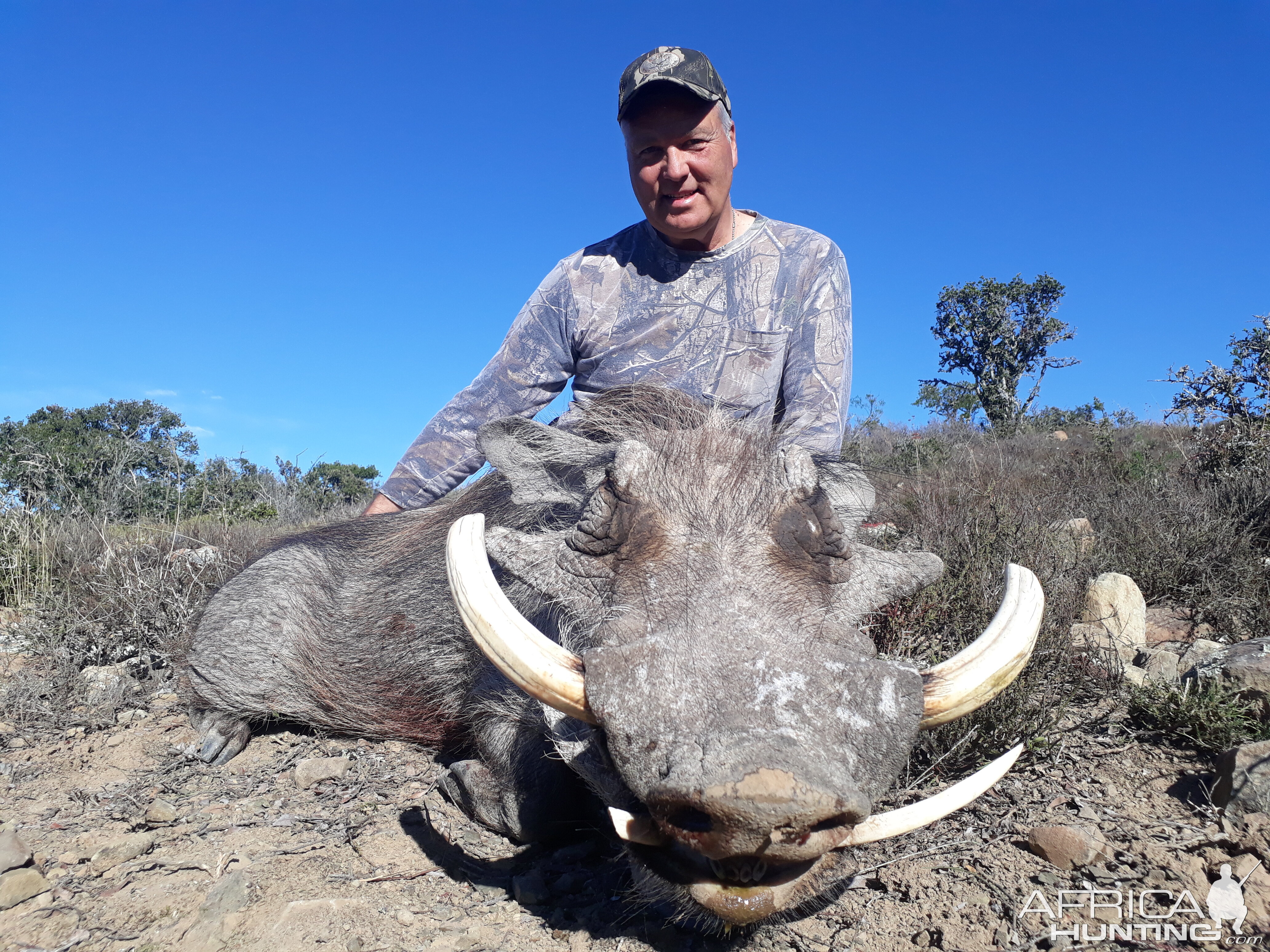 Hunt Warthog in South Africa