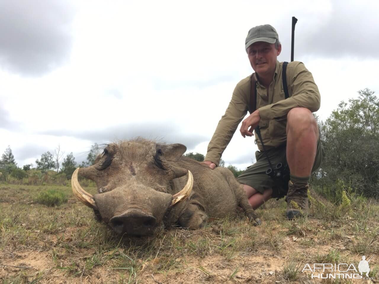 Hunt Warthog in South Africa