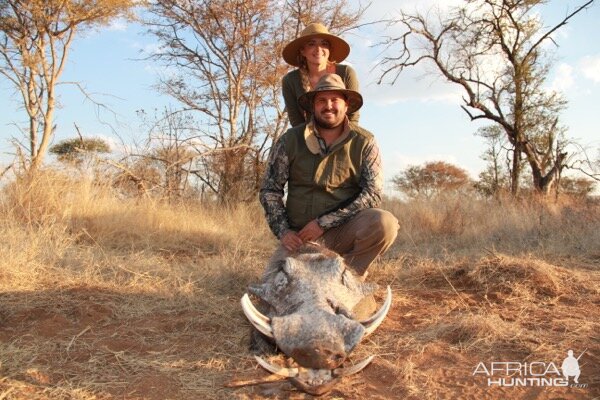 Hunt Warthog in South Africa