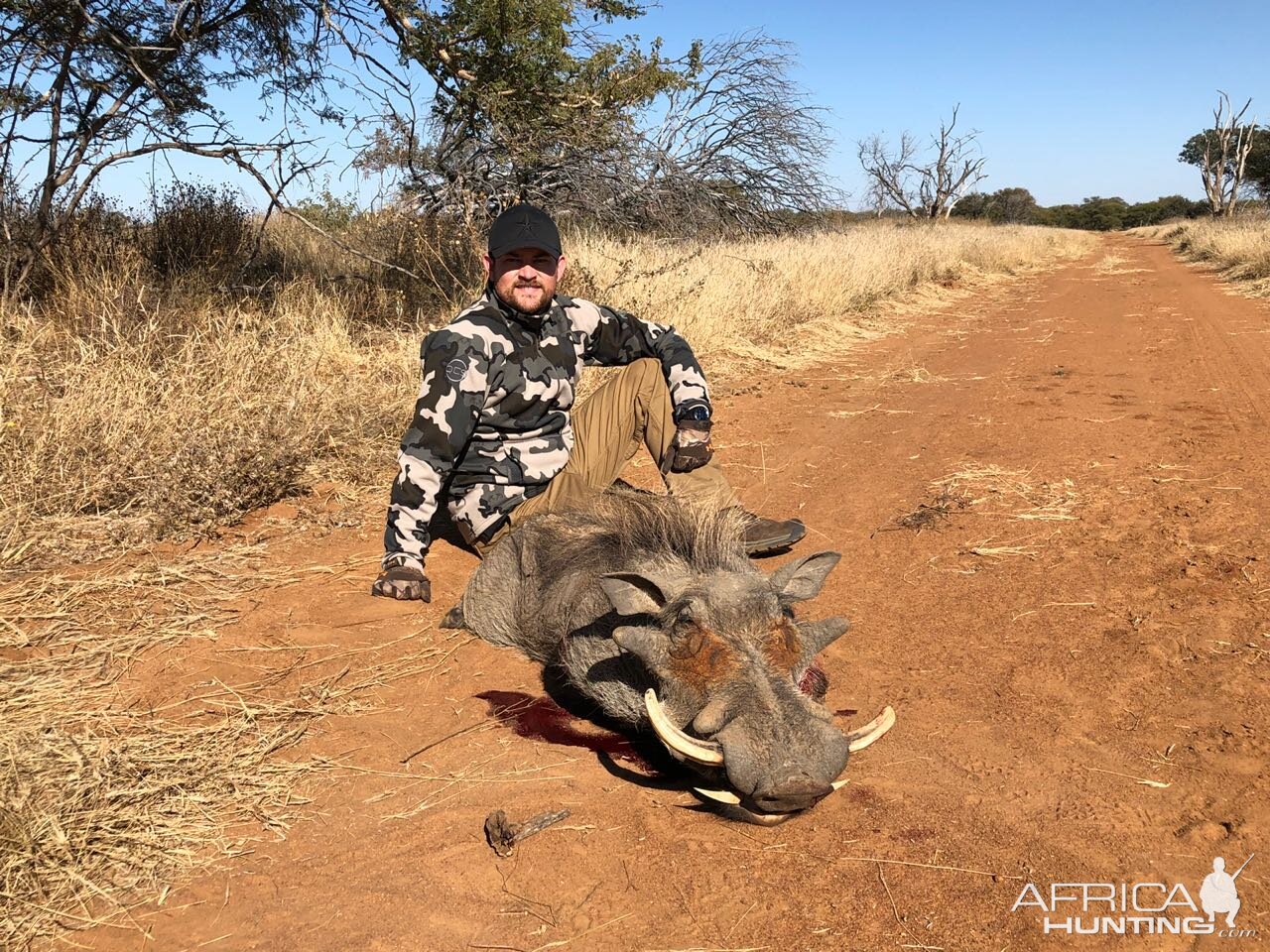 Hunt Warthog in South Africa