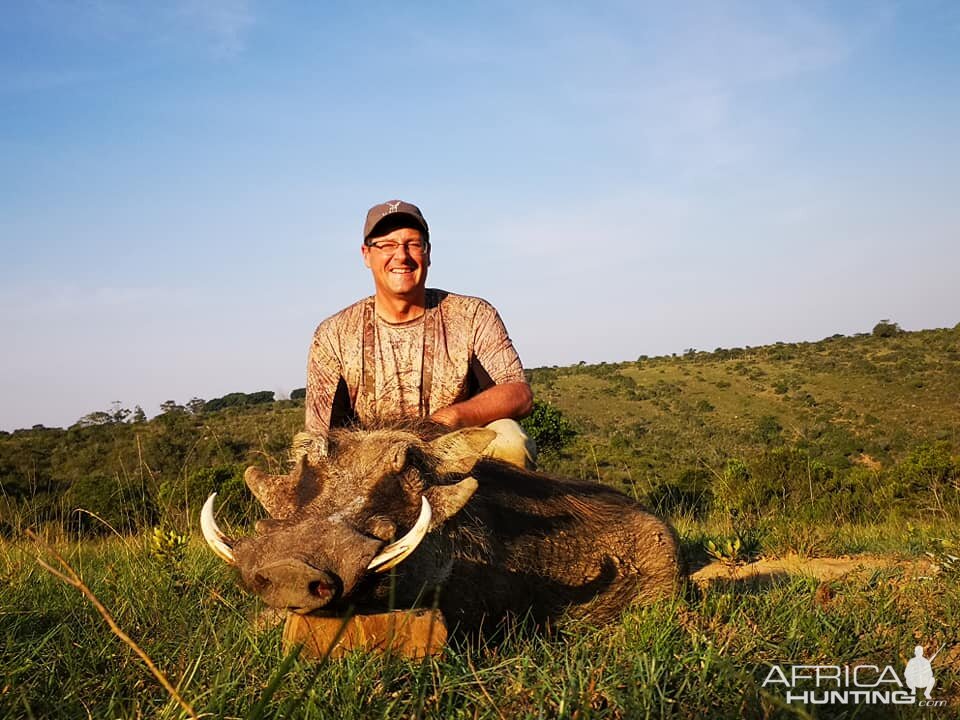 Hunt Warthog in South Africa