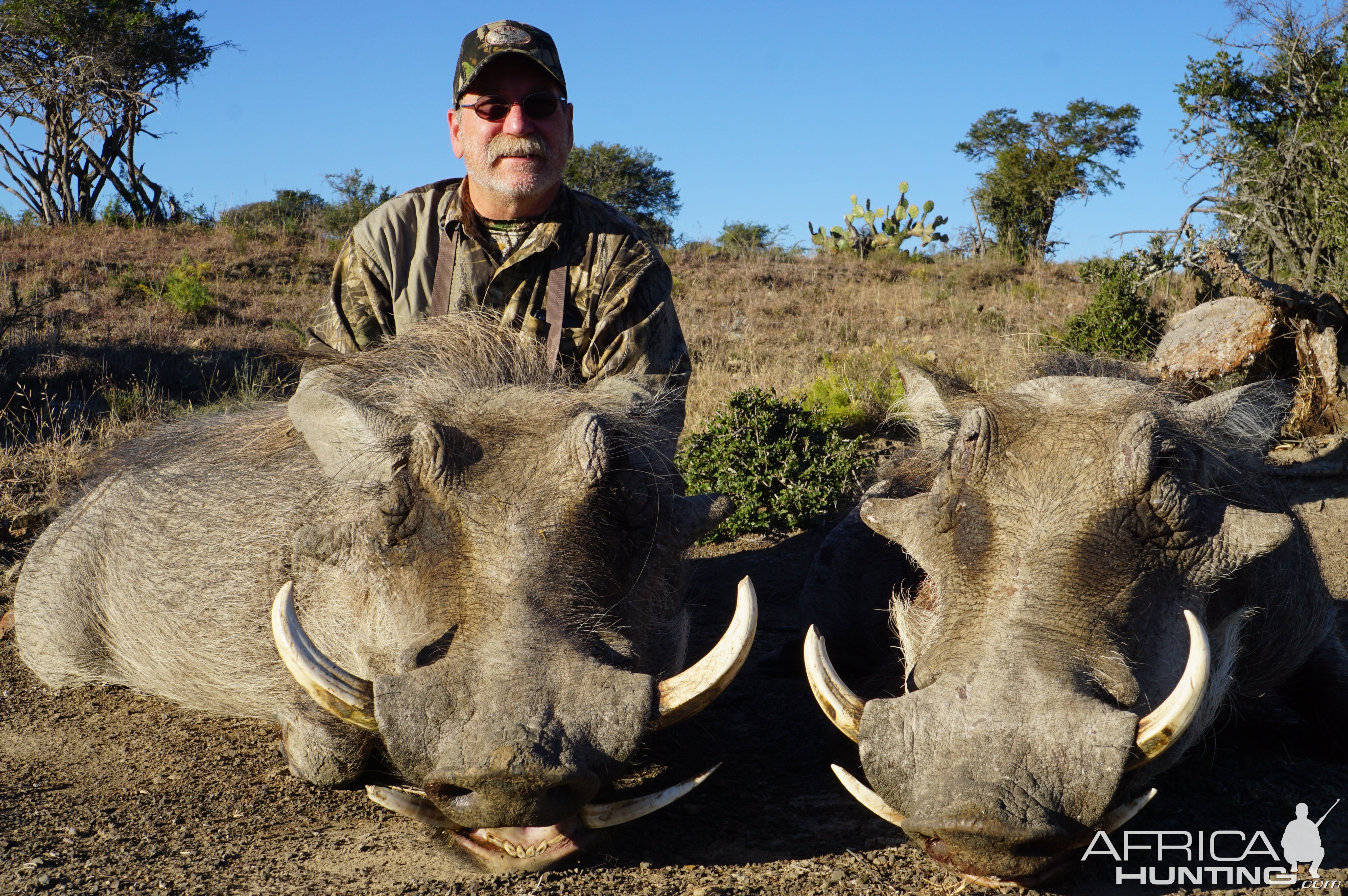 Hunt Warthog in South Africa