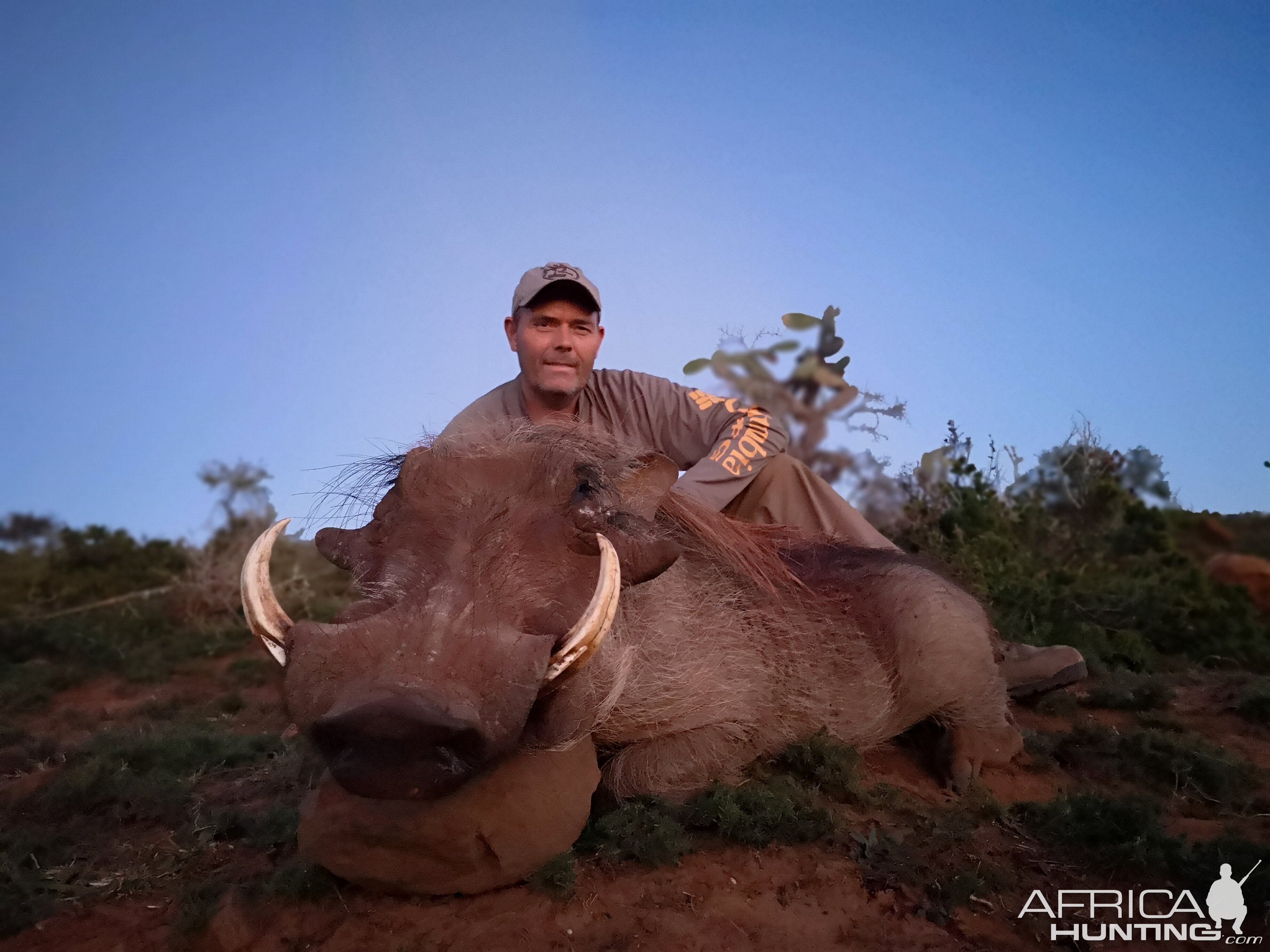 Hunt Warthog in South Africa