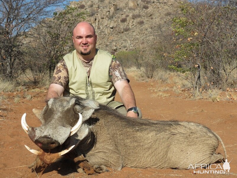 Hunt Warthog Namibia