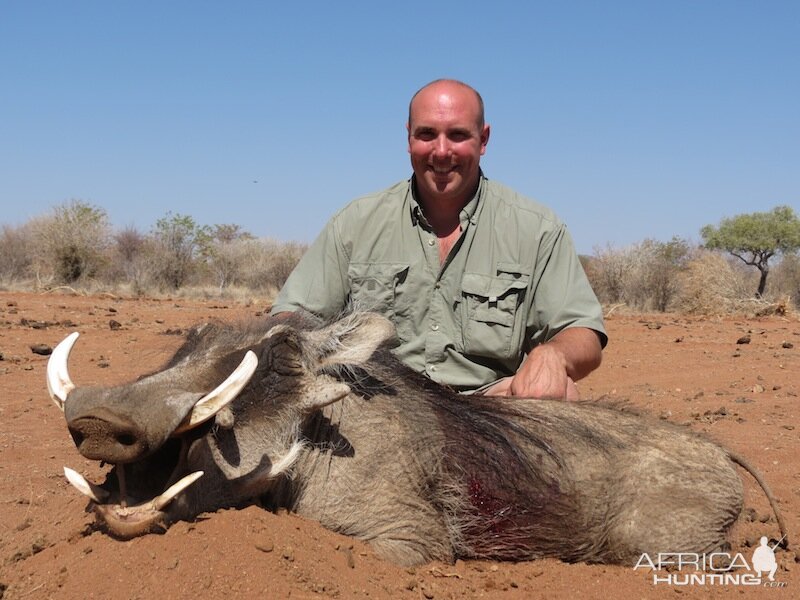 Hunt Warthog Namibia