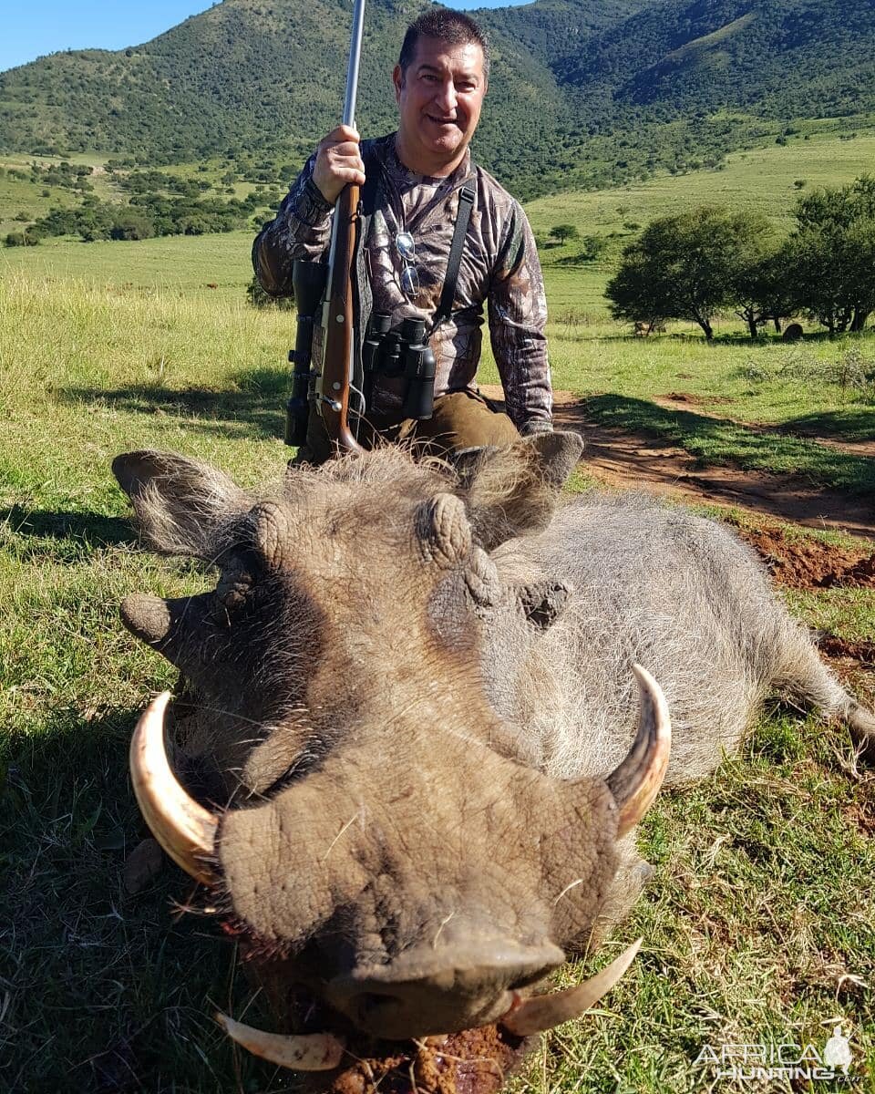 Hunt Warthog South Africa