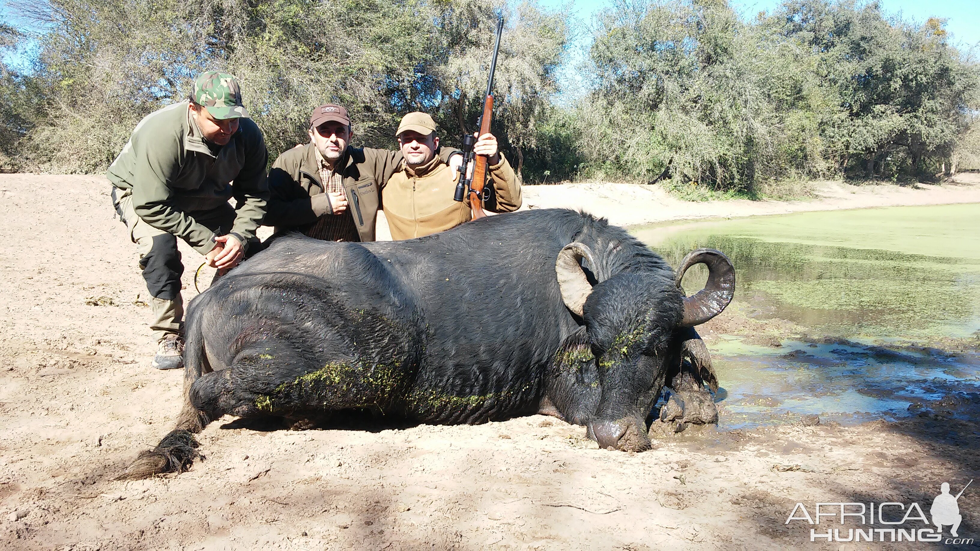 Hunt Water Buffalo in Argentina