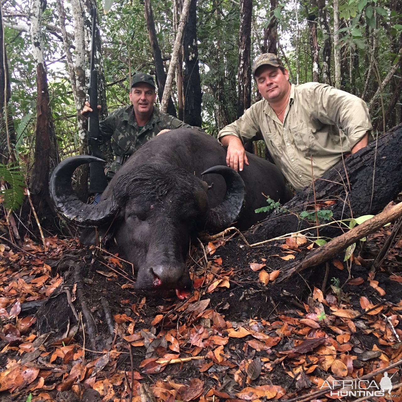 Hunt Water Buffalo in Argentina