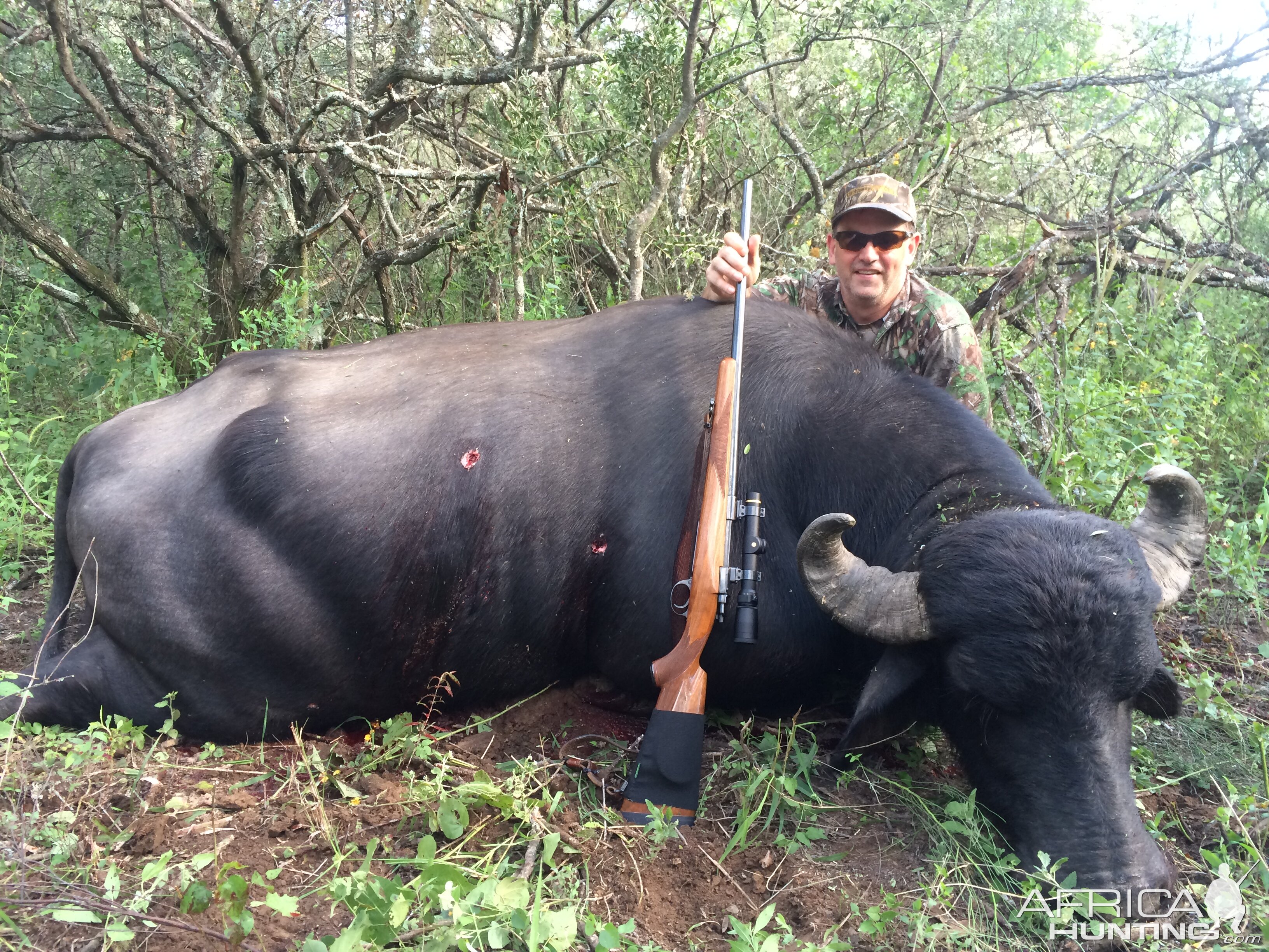 Hunt Water Buffalo in Argentina