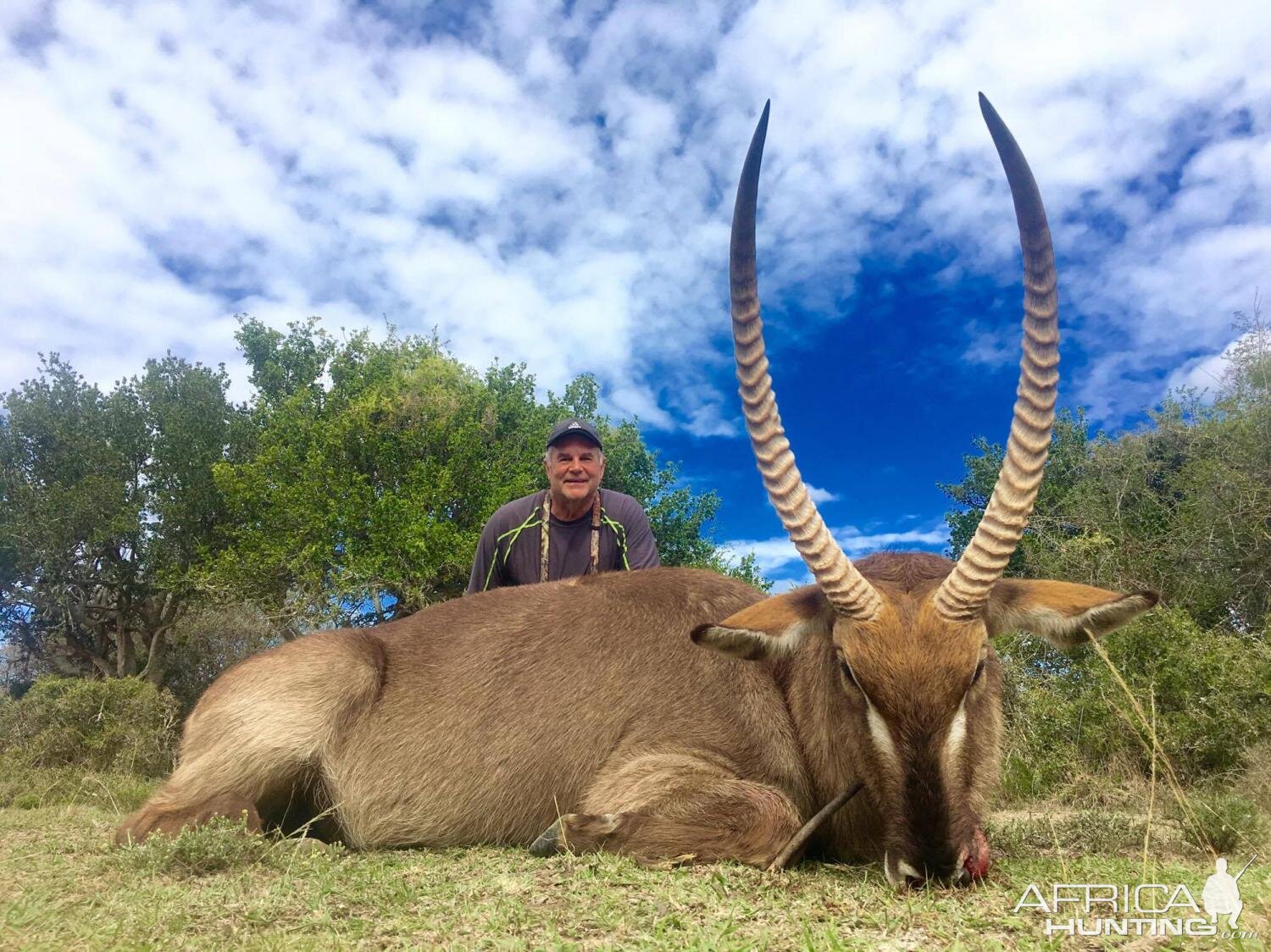 Hunt Waterbuck in South Africa