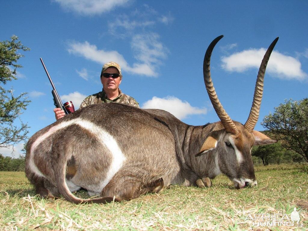 Hunt Waterbuck in South Africa