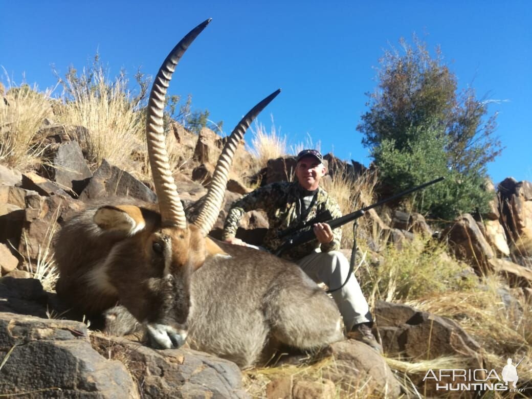 Hunt Waterbuck in South Africa