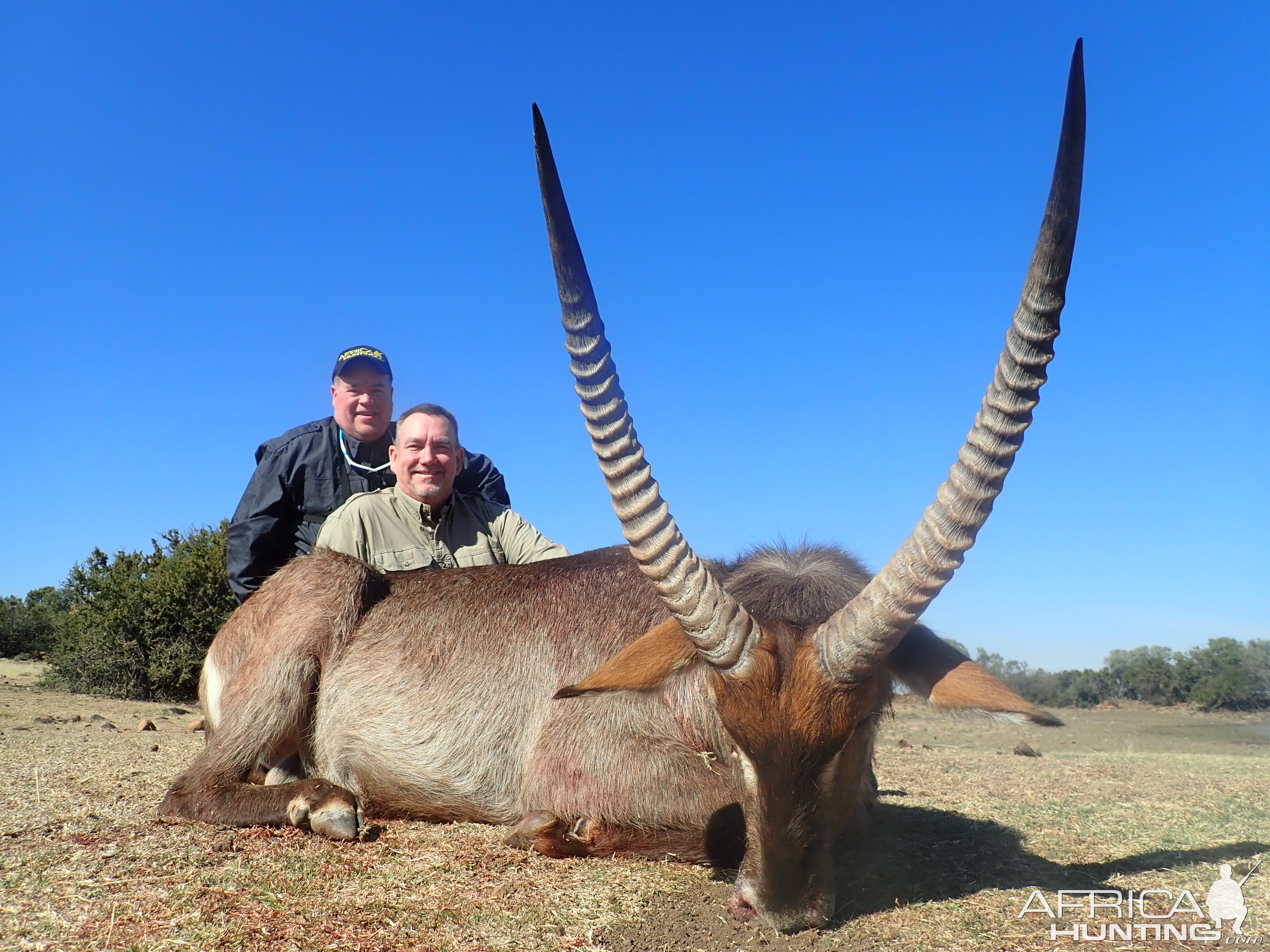 Hunt Waterbuck in South Africa