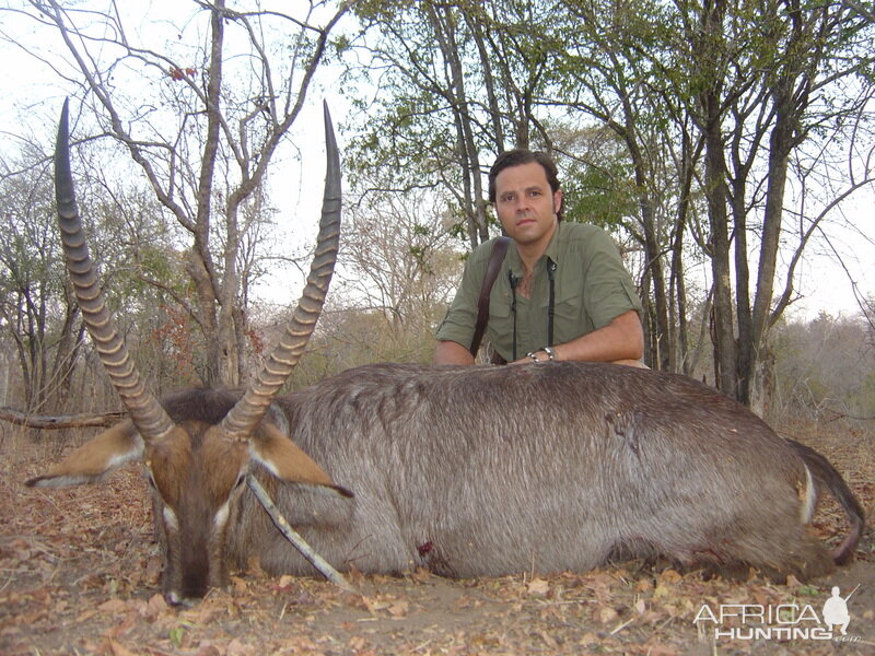 Hunt Waterbuck in Zimbabwe