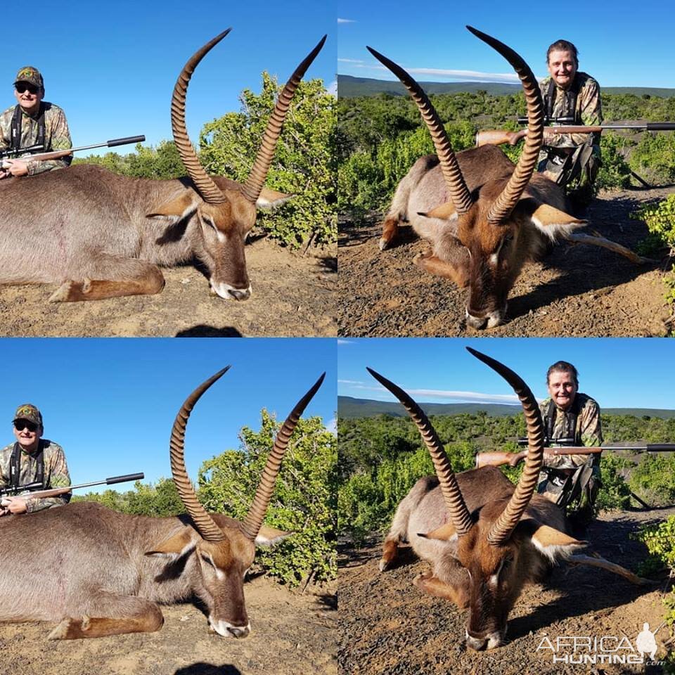 Hunt Waterbuck South Africa