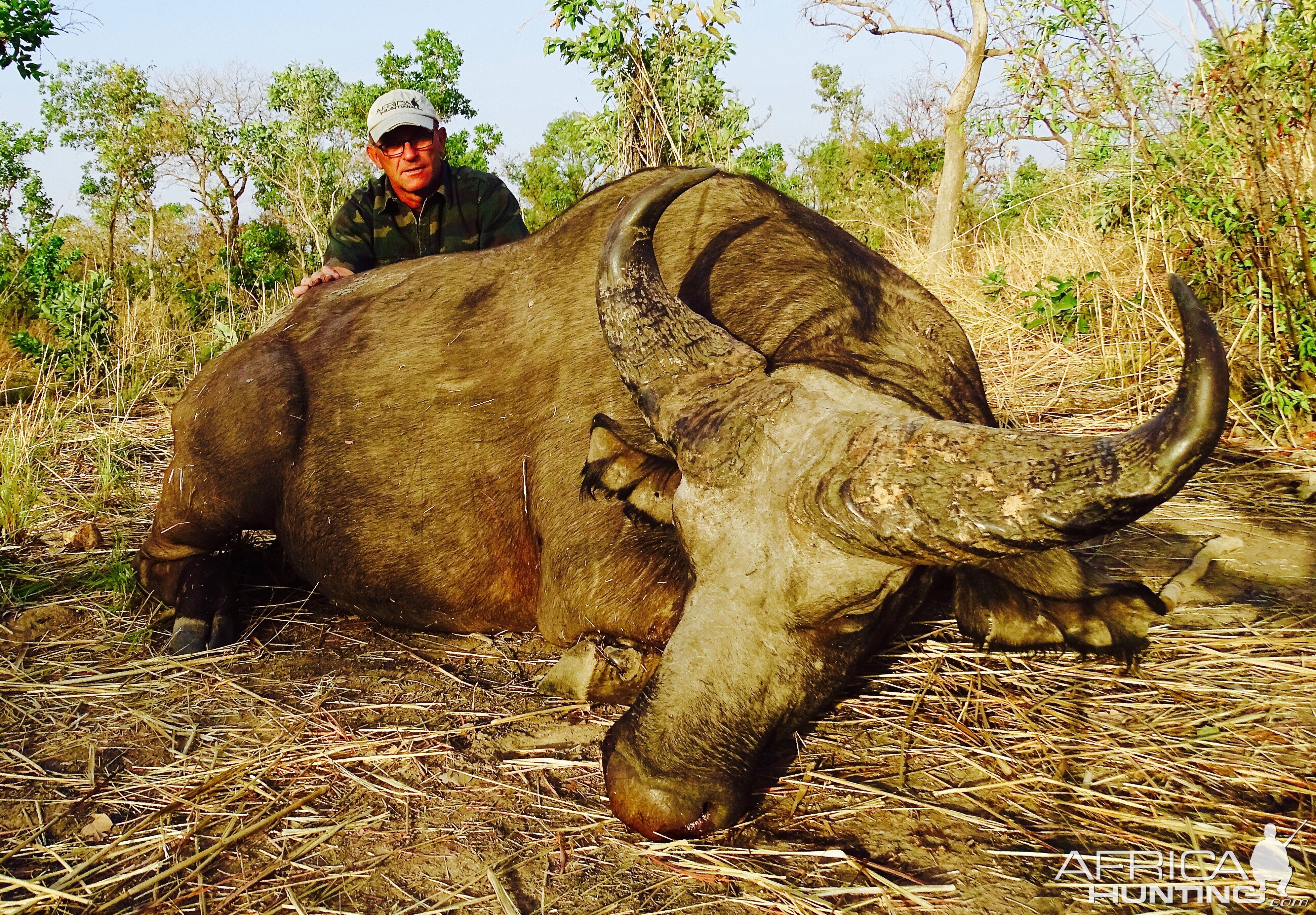 Hunt West Africa West African Savanna Buffalo