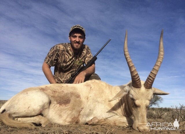 Hunt White Blesbok in South Africa