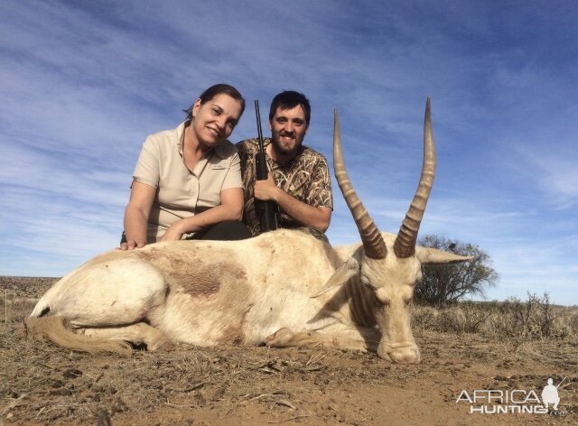 Hunt White Blesbok in South Africa