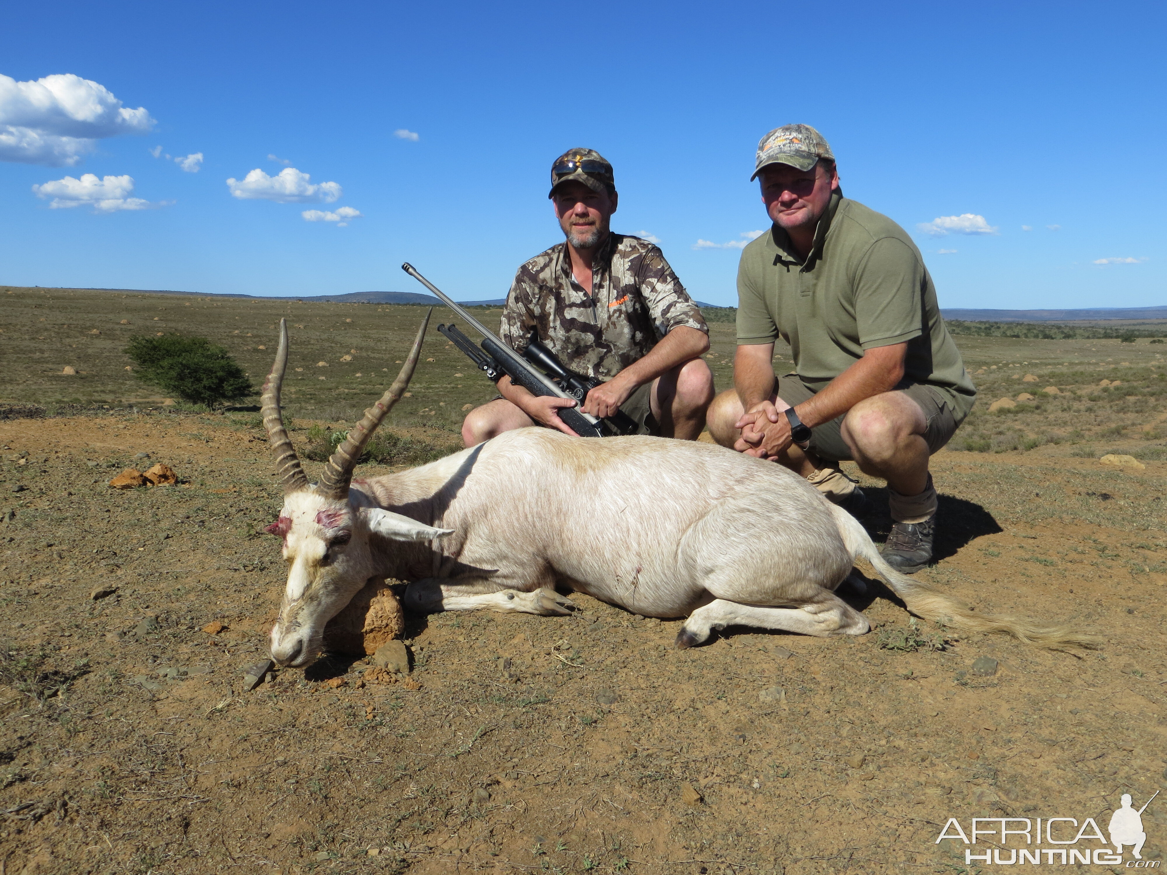 Hunt White Blesbok in South Africa