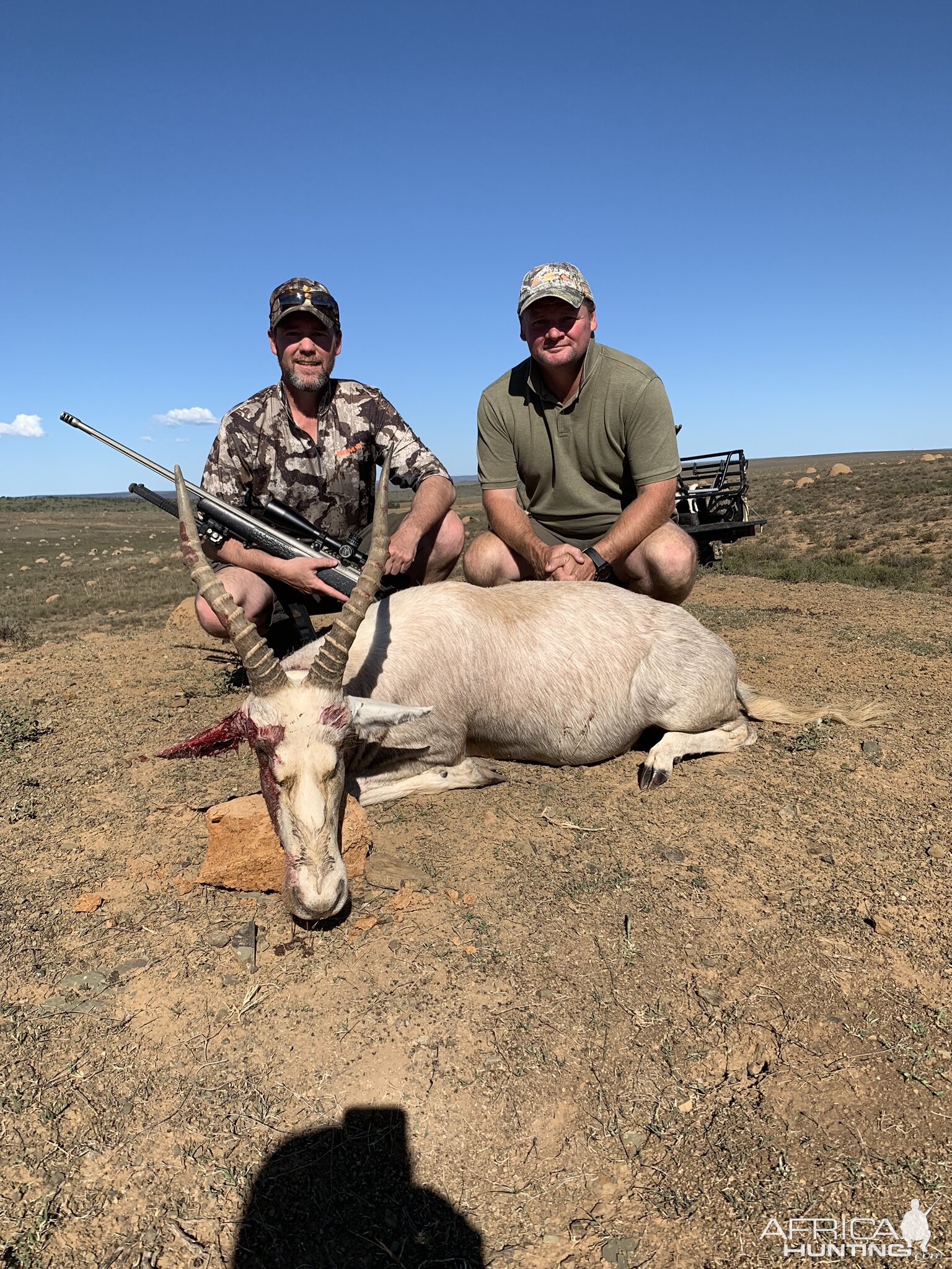 Hunt White Blesbok in South Africa