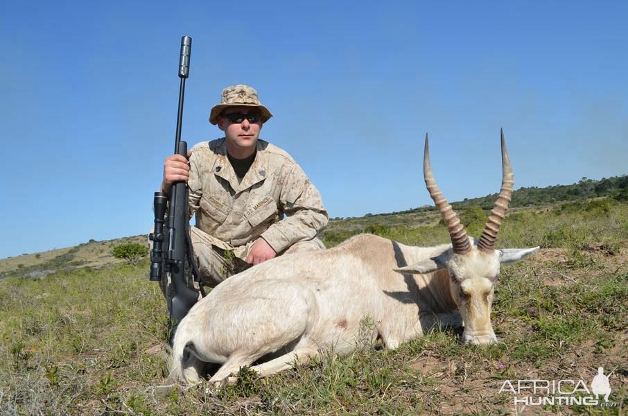 Hunt White Blesbok South Africa