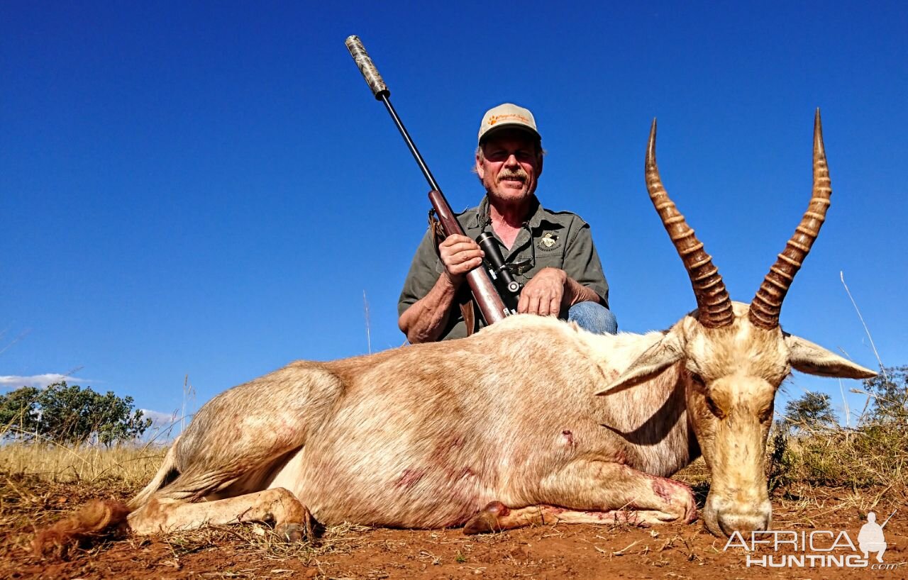 Hunt White Blesbok South Africa