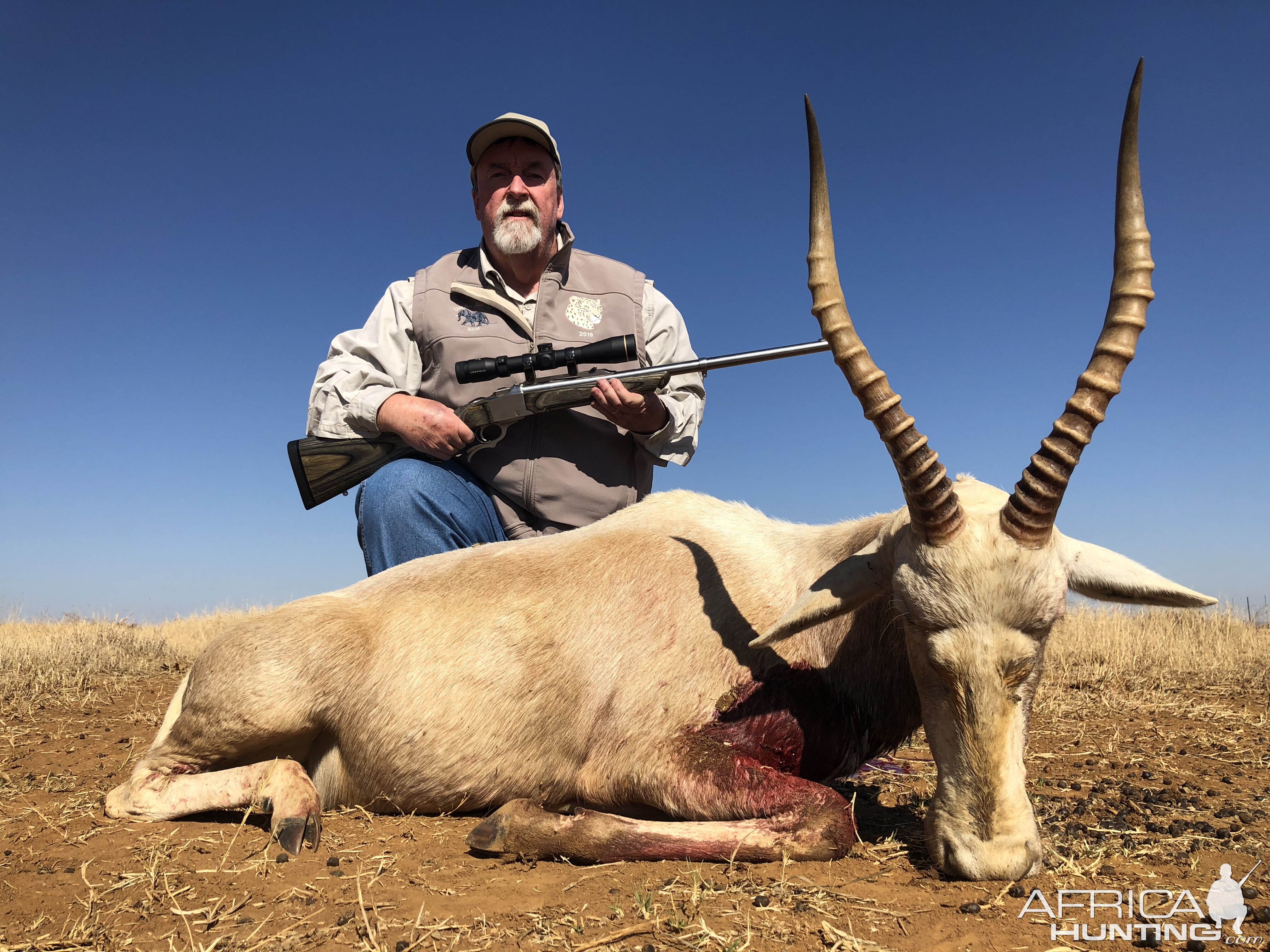 Hunt White Blesbok South Africa