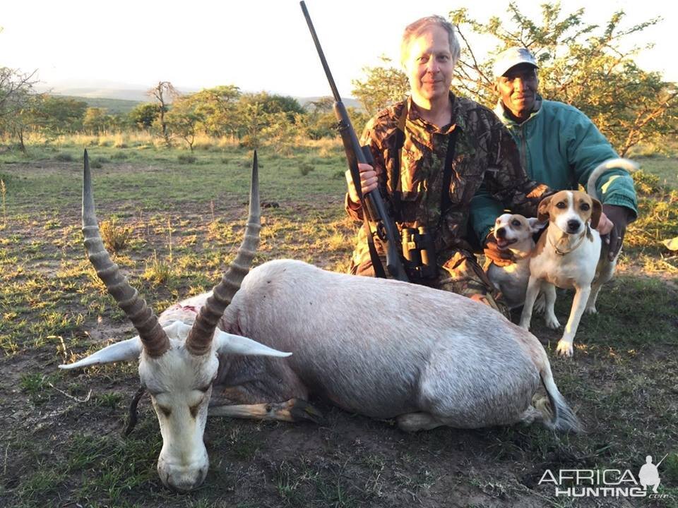 Hunt White Blesbuck South Africa