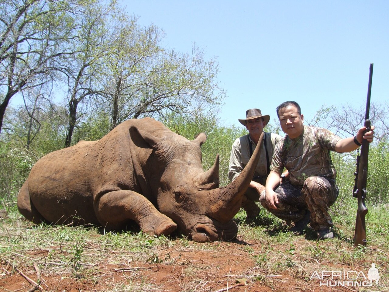 Hunt White Rhino South Africa