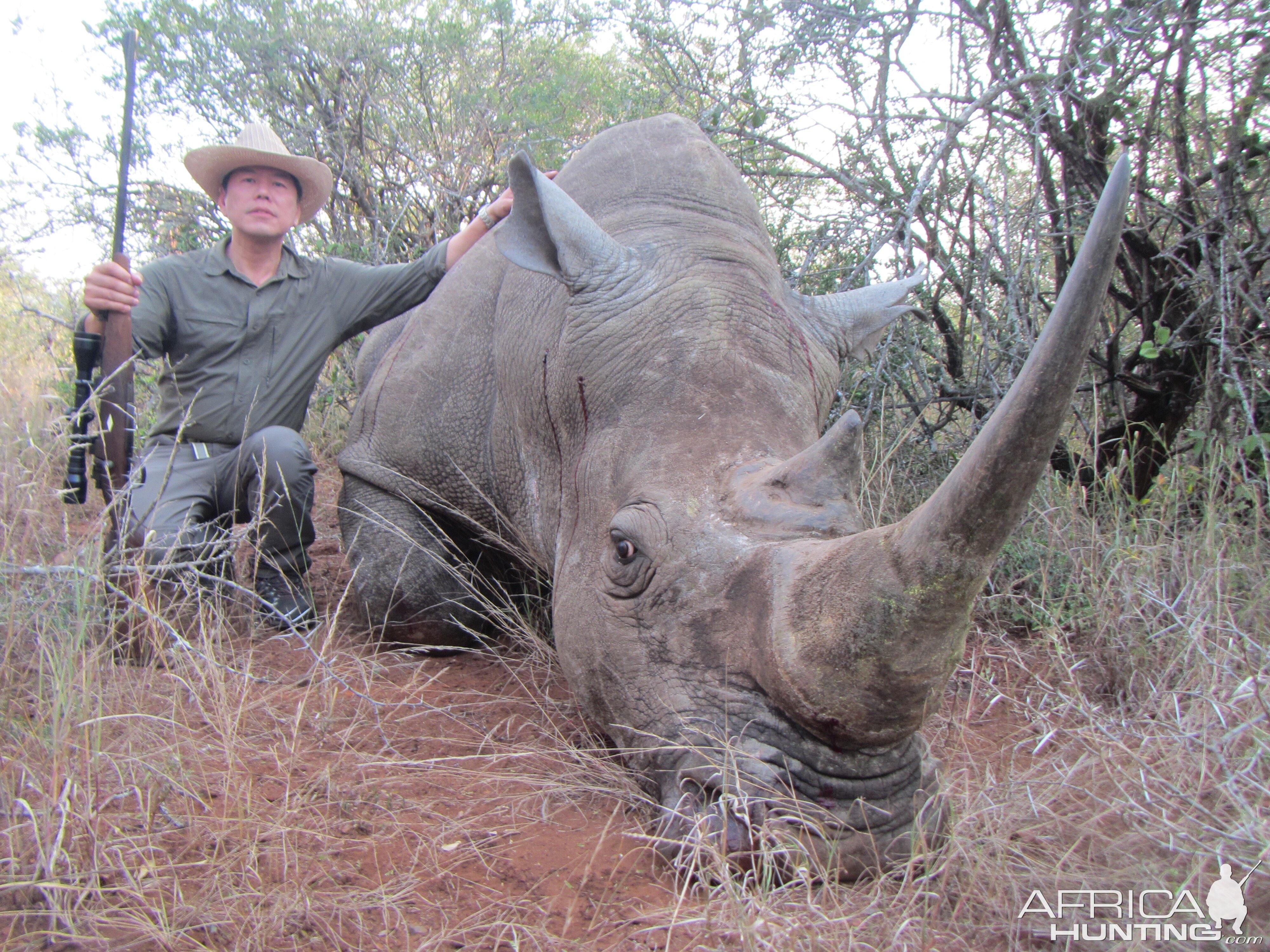 Hunt White Rhino South Africa