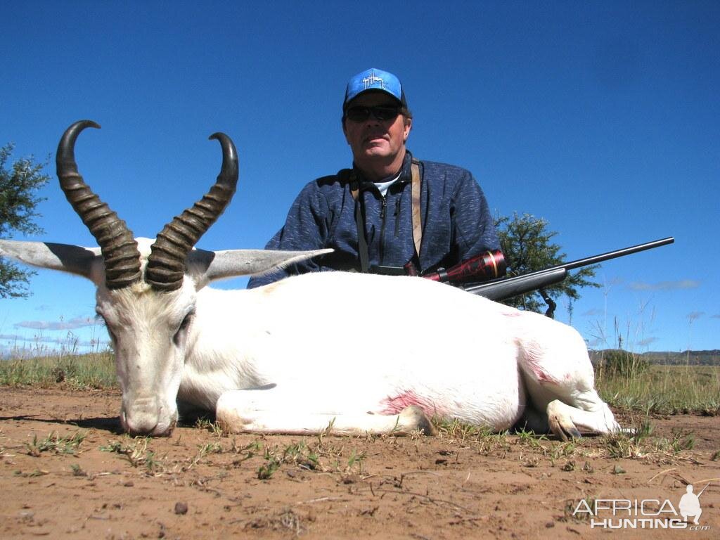 Hunt White Springbok in South Africa