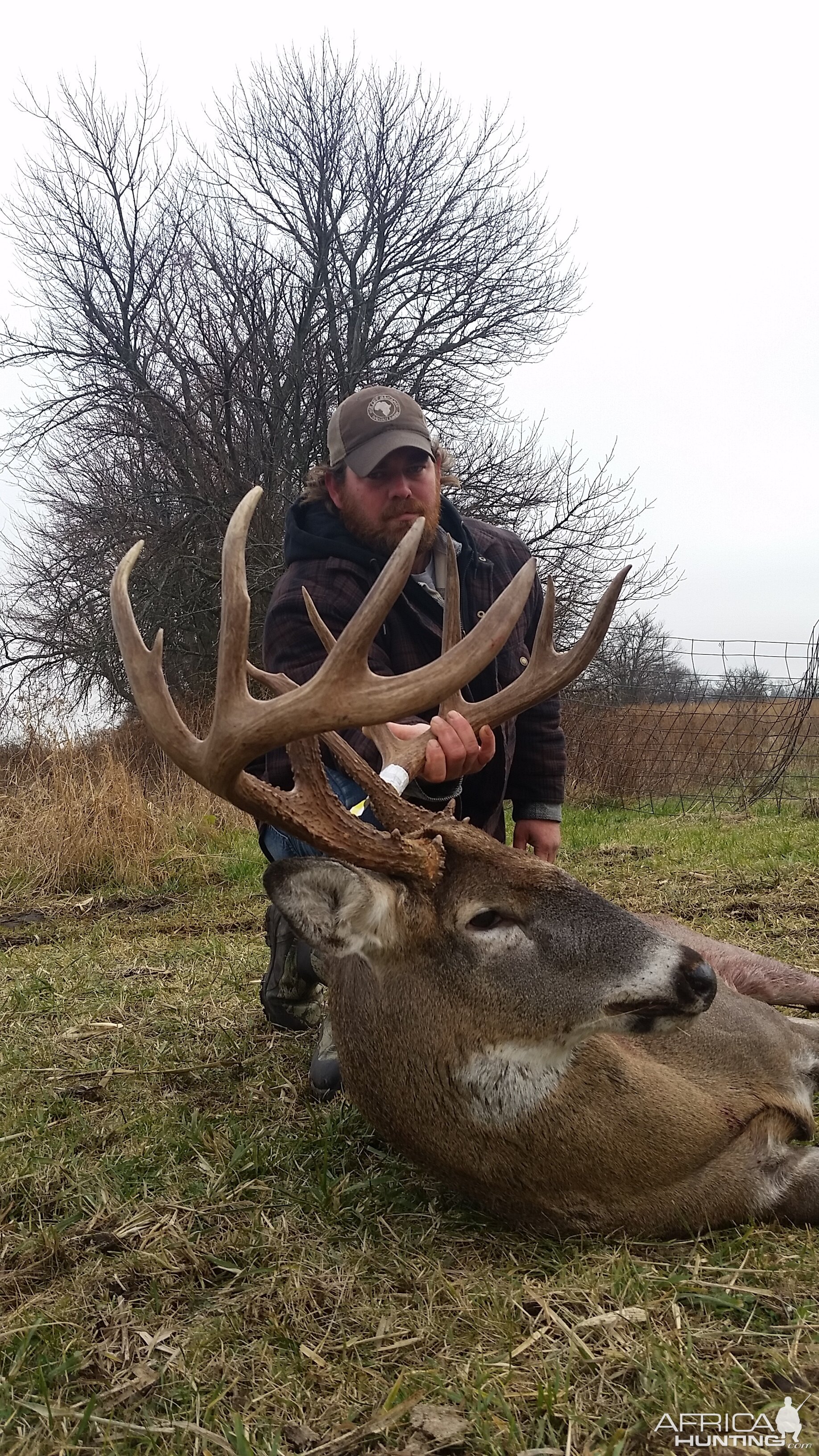 Hunt White-tailed Deer in Missouri USA