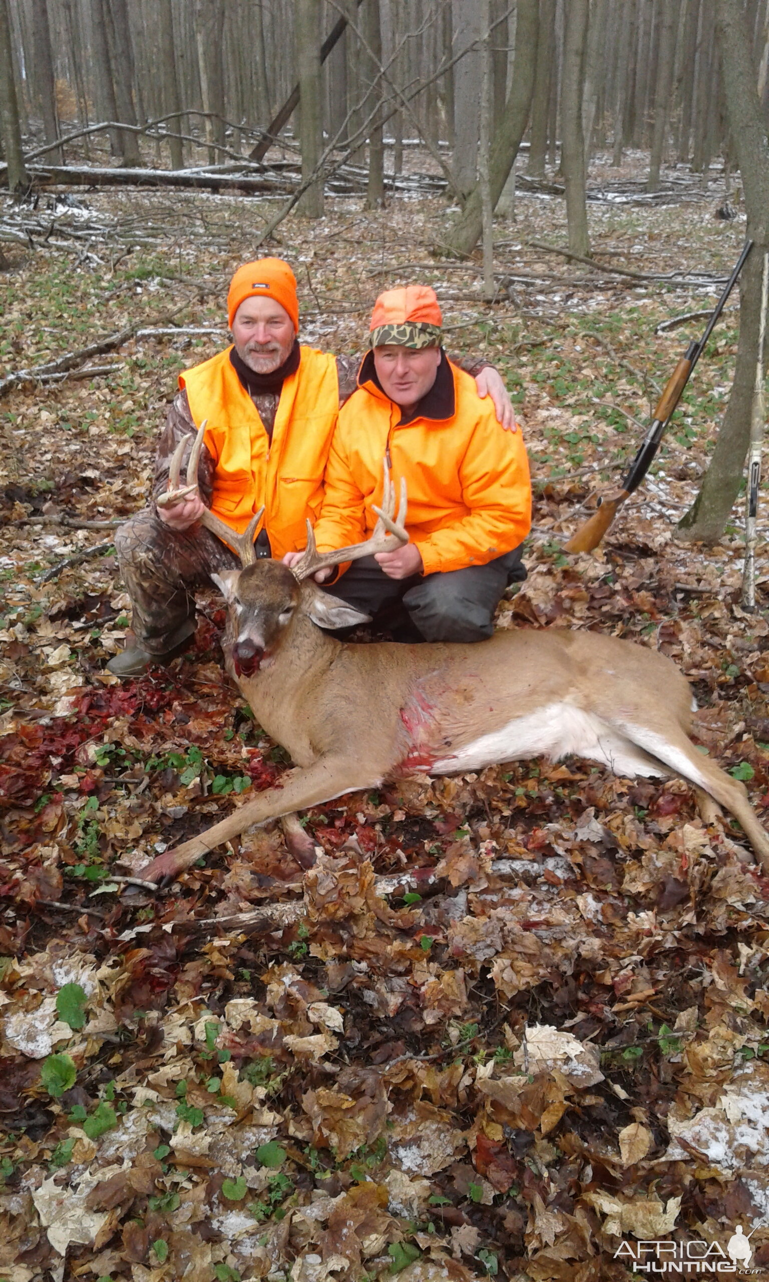 Hunt White-tailed Deer in Ontario Canada