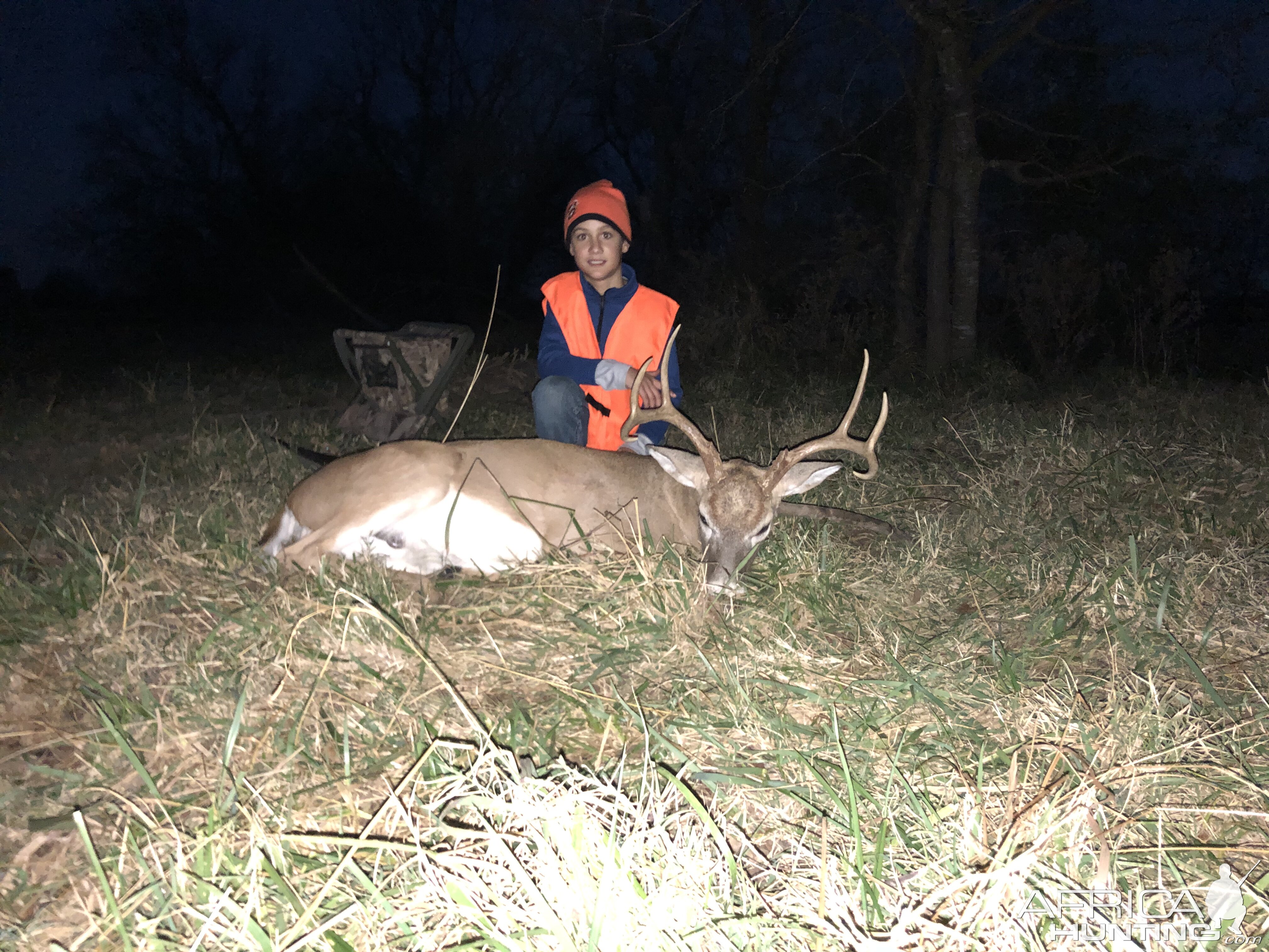 Hunt White-tailed Deer in USA