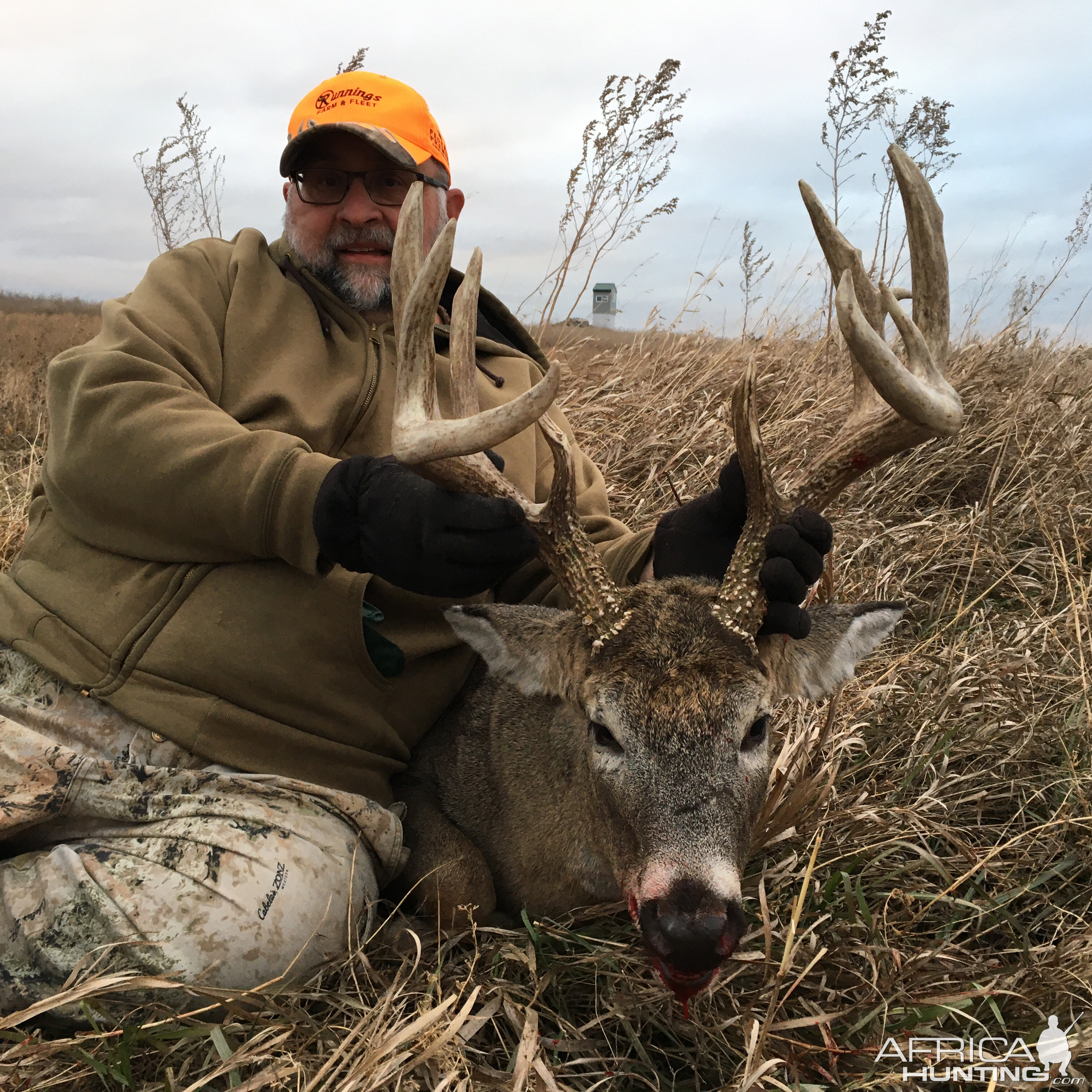 Hunt White-tailed Deer in USA