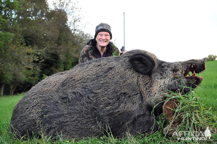 Hunt Wild Boar France